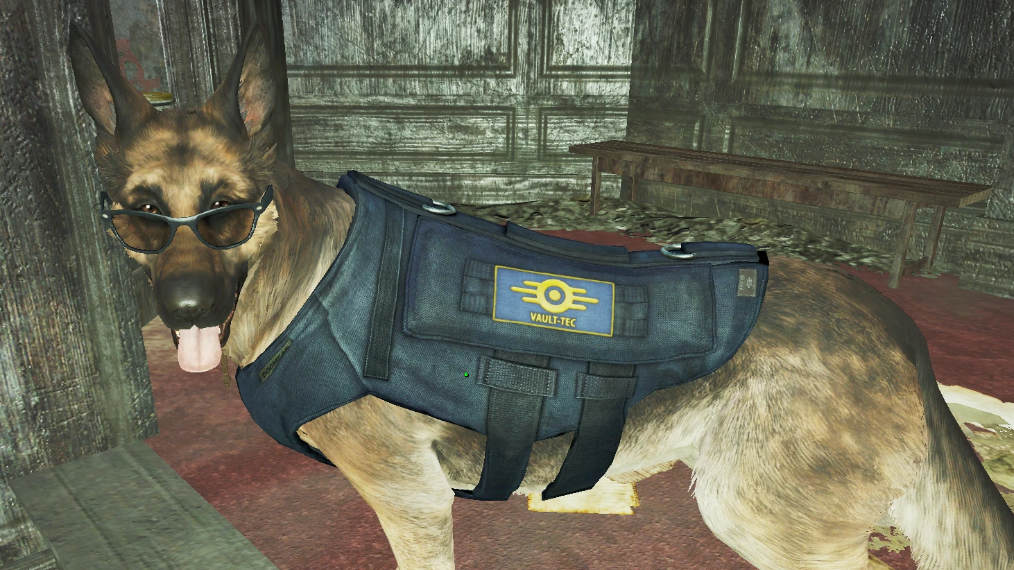 Fallout 4 как одеть вещи на собаку фото 62