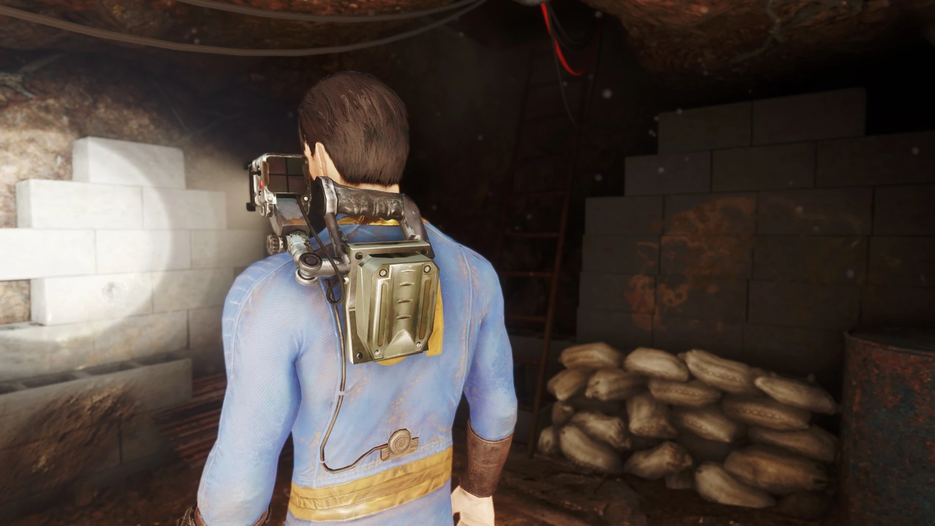 Fallout 4 как фонарик фото 7