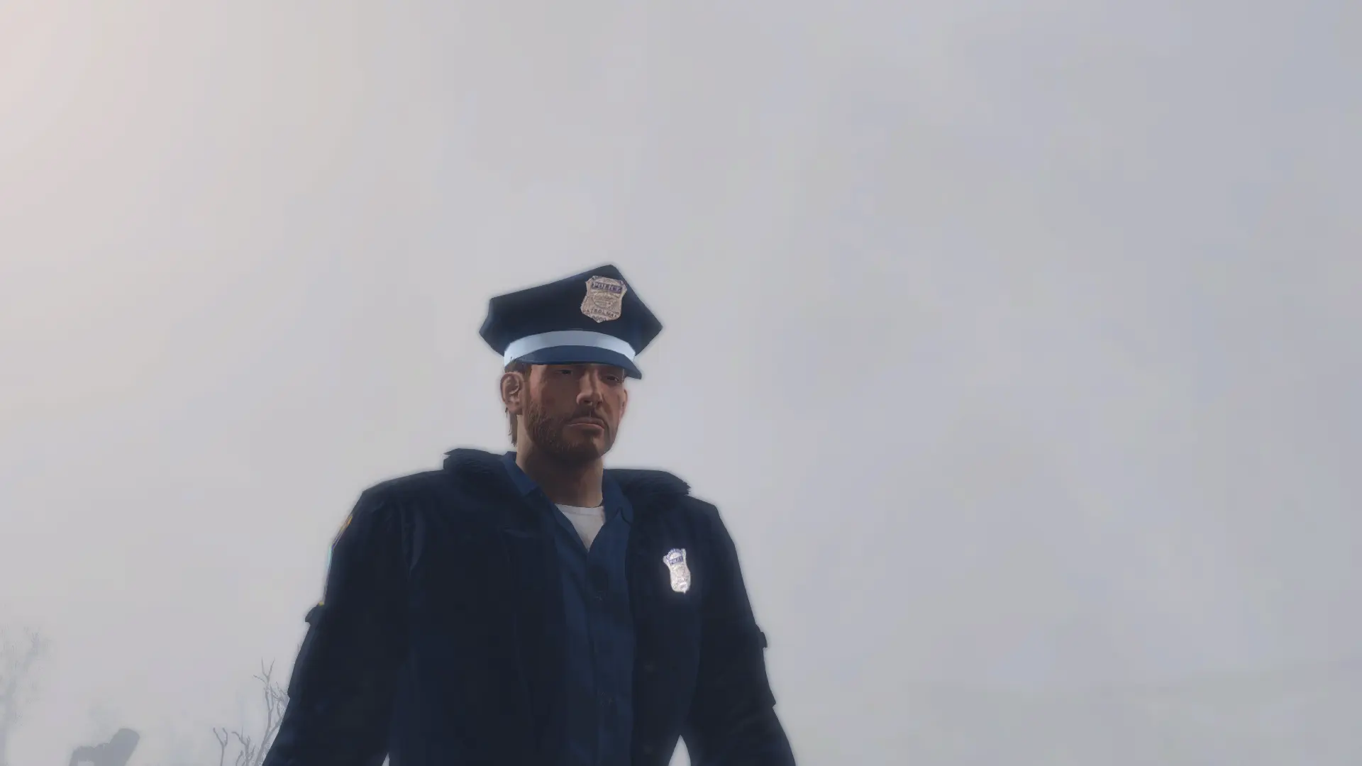 Fallout 4 police uniform фото 34