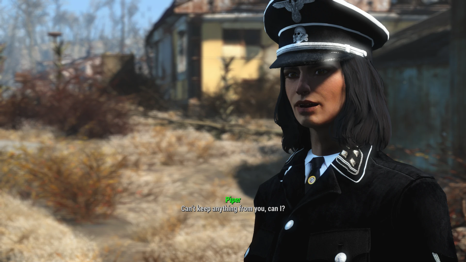 Fallout 4 nazi brotherhood фото 65