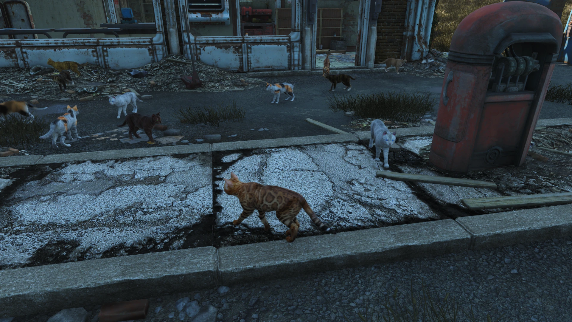 Fallout 4 cat settlement фото 1