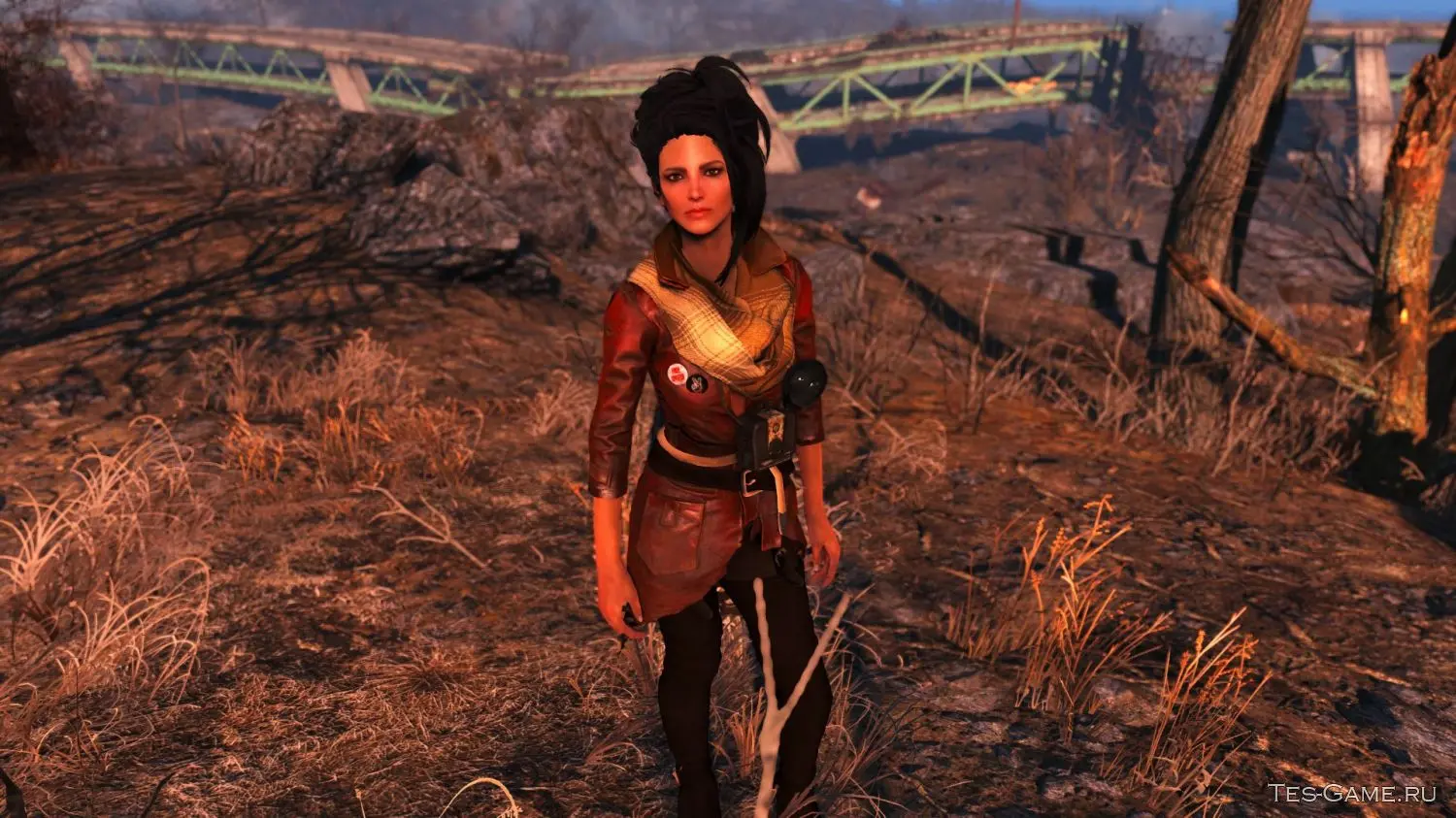 Tes nexus fallout 4 фото 48