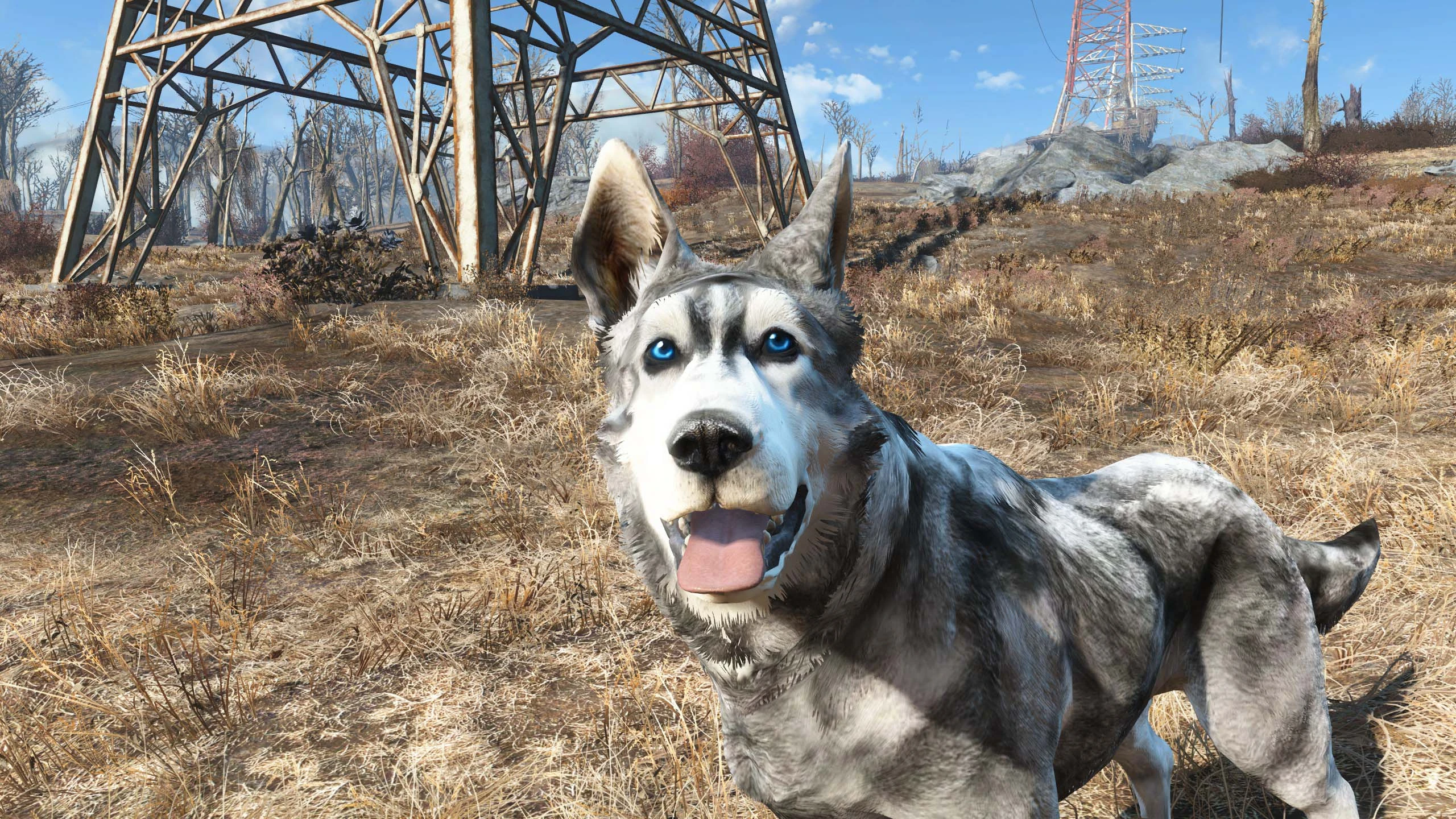 Fallout 4 good boy dogmeat фото 64