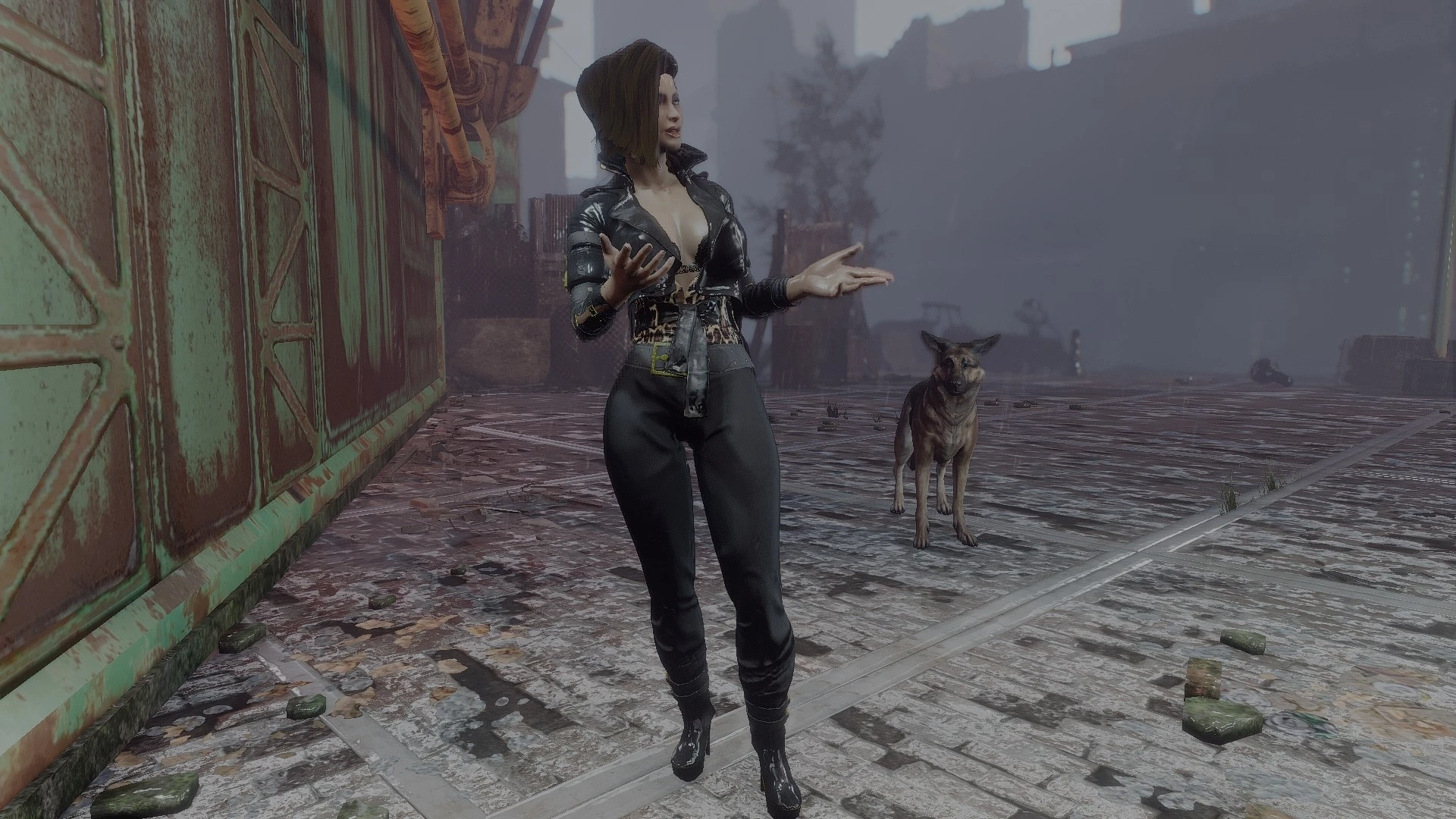 Clean and simple fallout 4 фото 114
