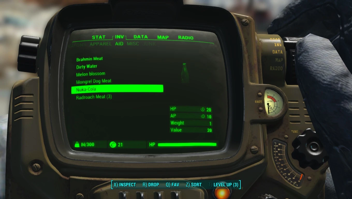 Food Without Radiation at Fallout 4 Nexus - Mods and community