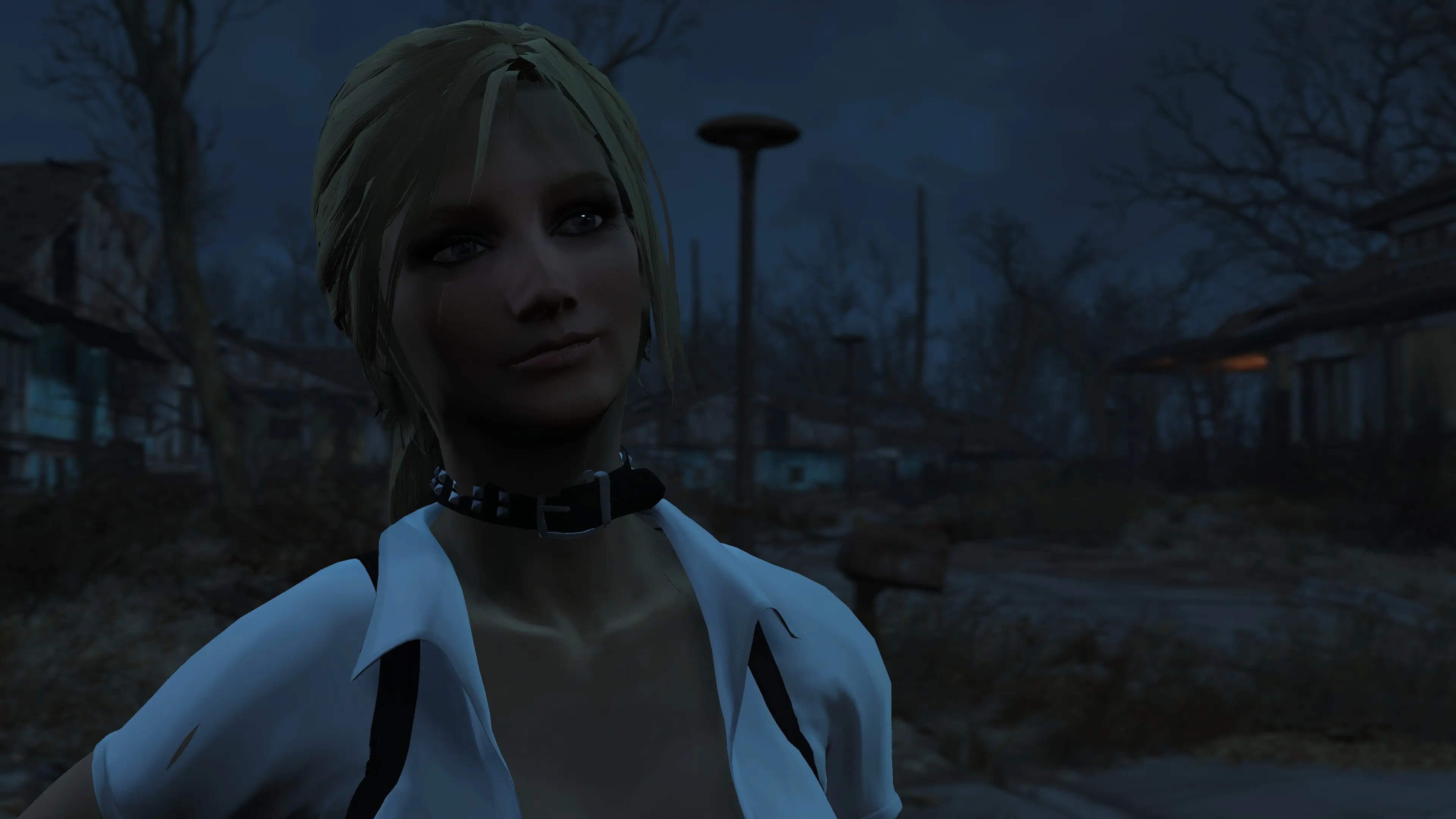 Alena's Preset at Fallout 4 Nexus - Mods and community