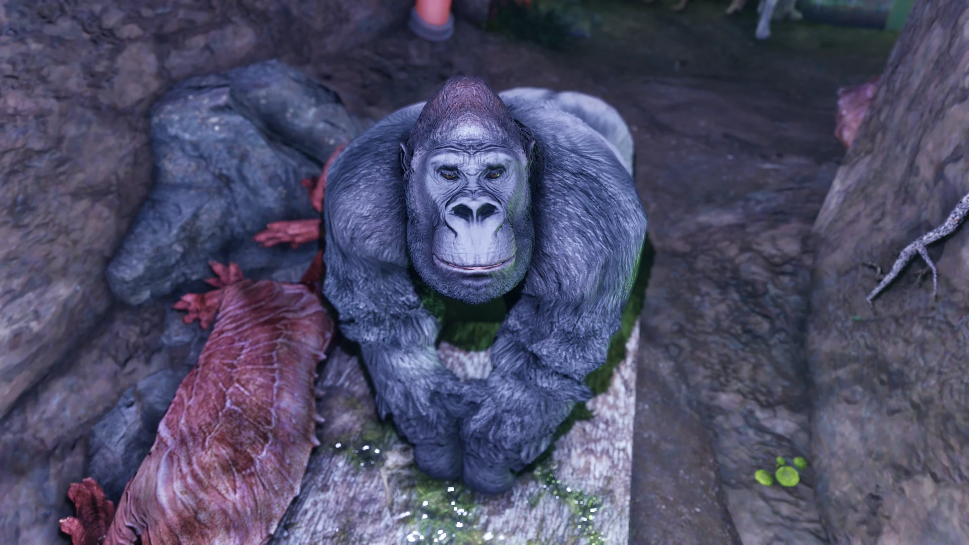 Gorilla Follower At Fallout 4 Nexus Mods And Community