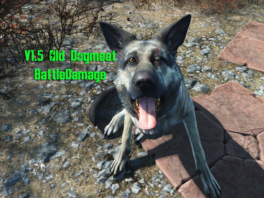 Old Dogmeat at Fallout 4 Nexus - Mods and community