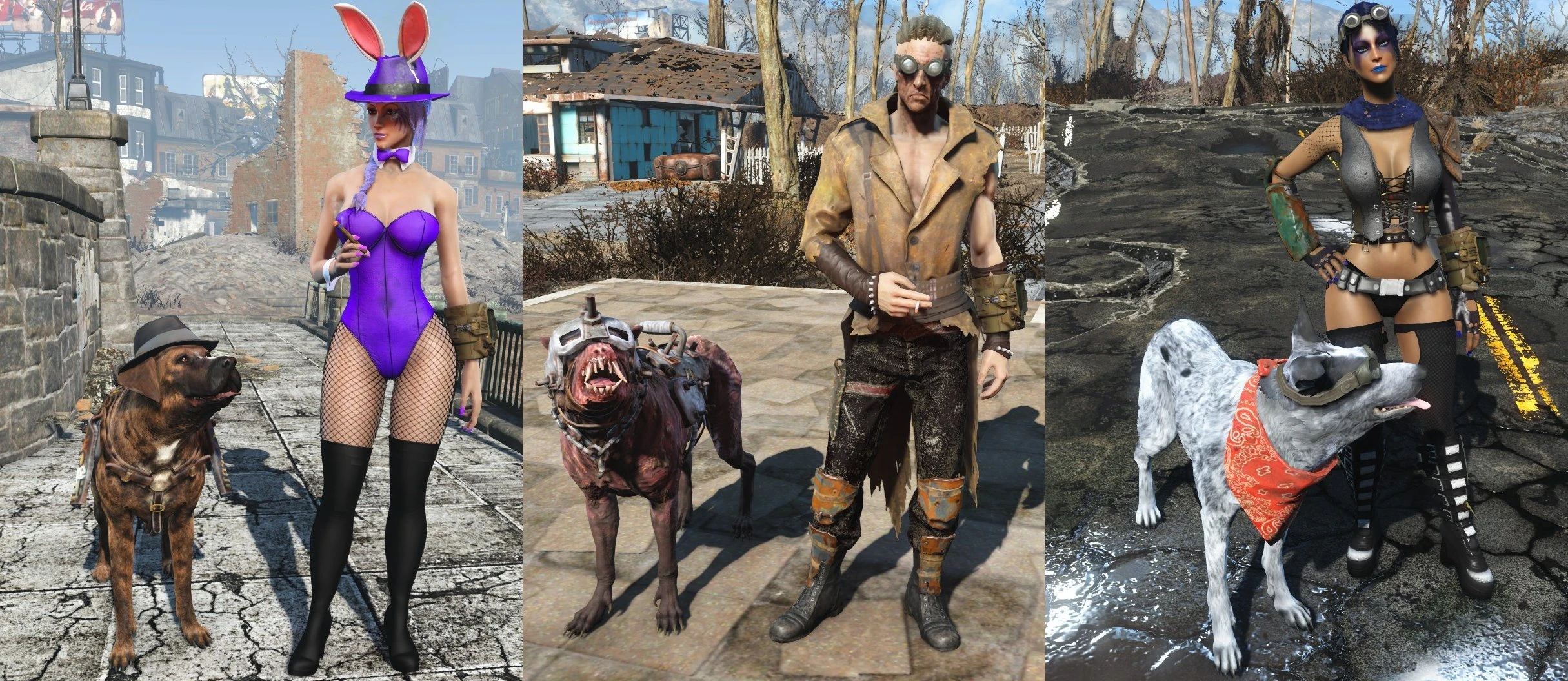 Fallout 4 как одевать собаку фото 62