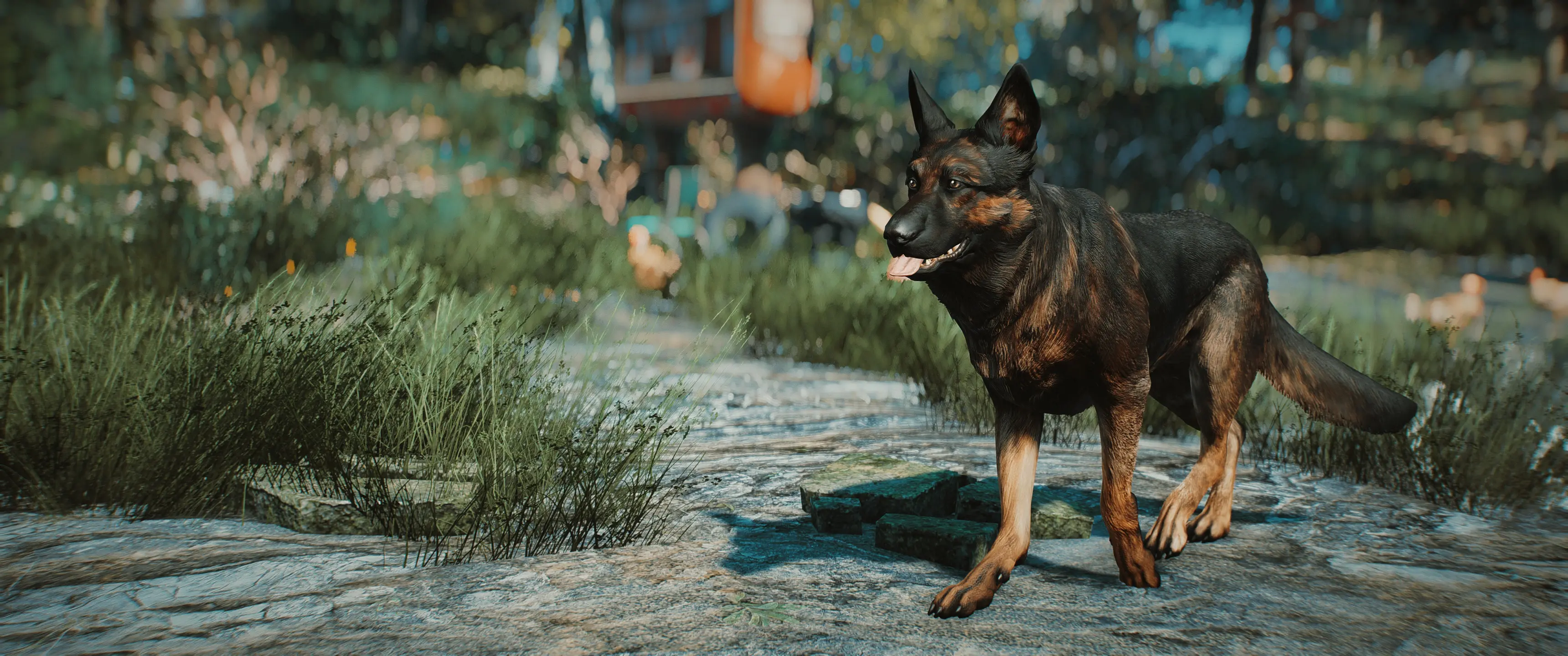fallout 4 dogmeat retexture fallout 4 dogmeat retexture