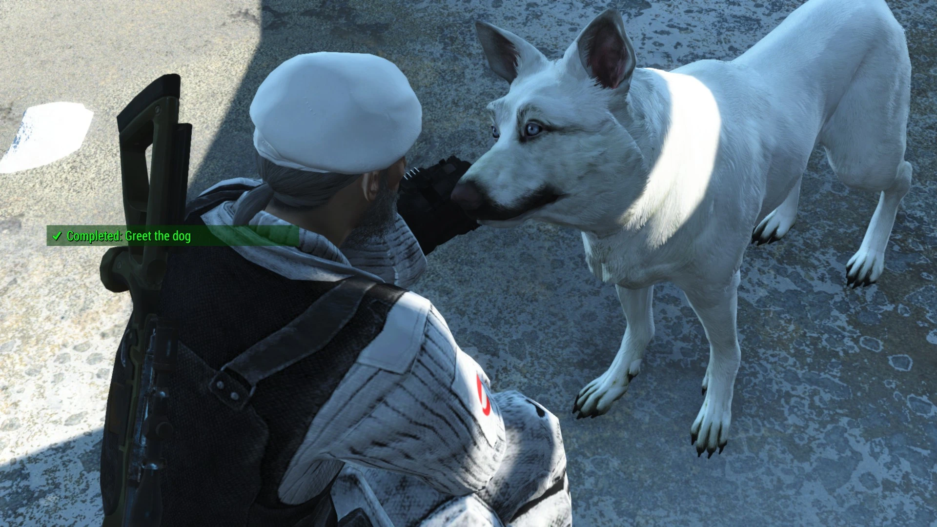 Ghost- White Dogmeat at Fallout 4 Nexus - Mods and community