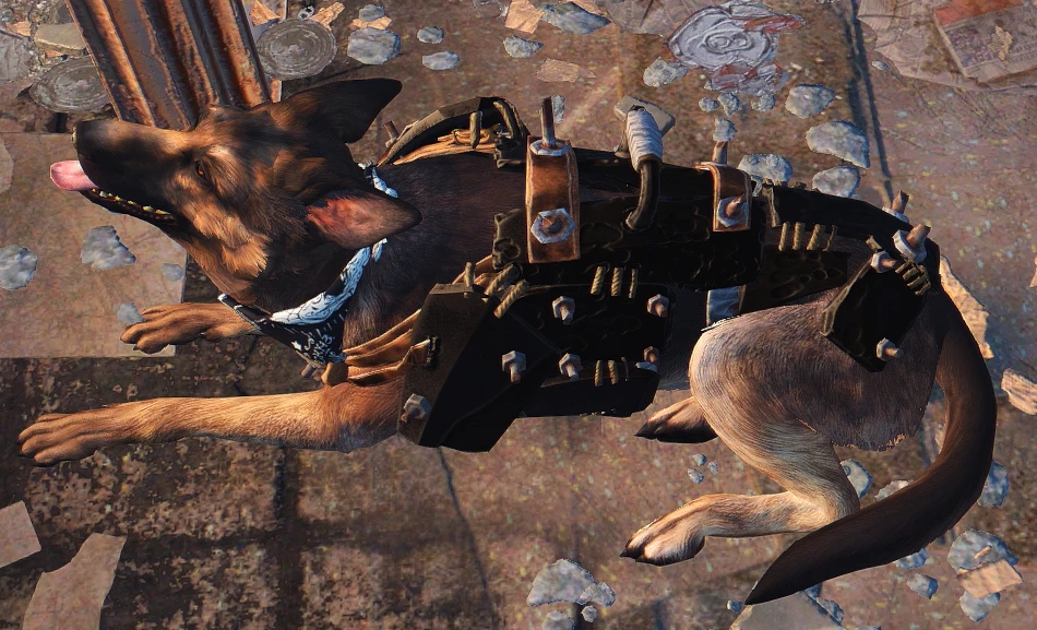 Dogmeat Black Armor (With regular colored hardware) at Fallout 4 Nexus
