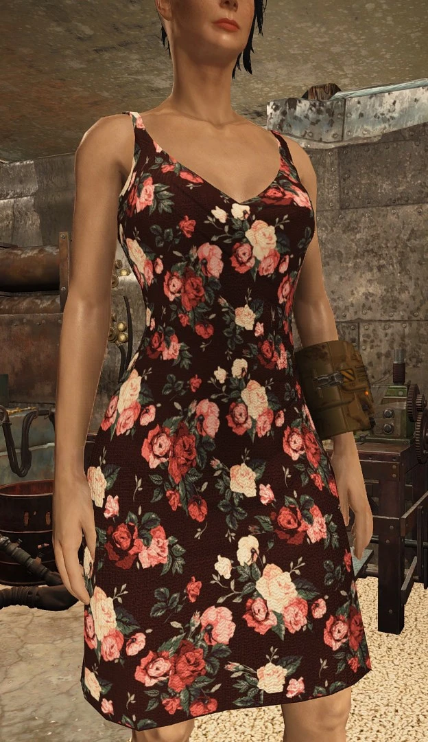 Beautiful Dresses at Fallout 4 Nexus - Mods and community