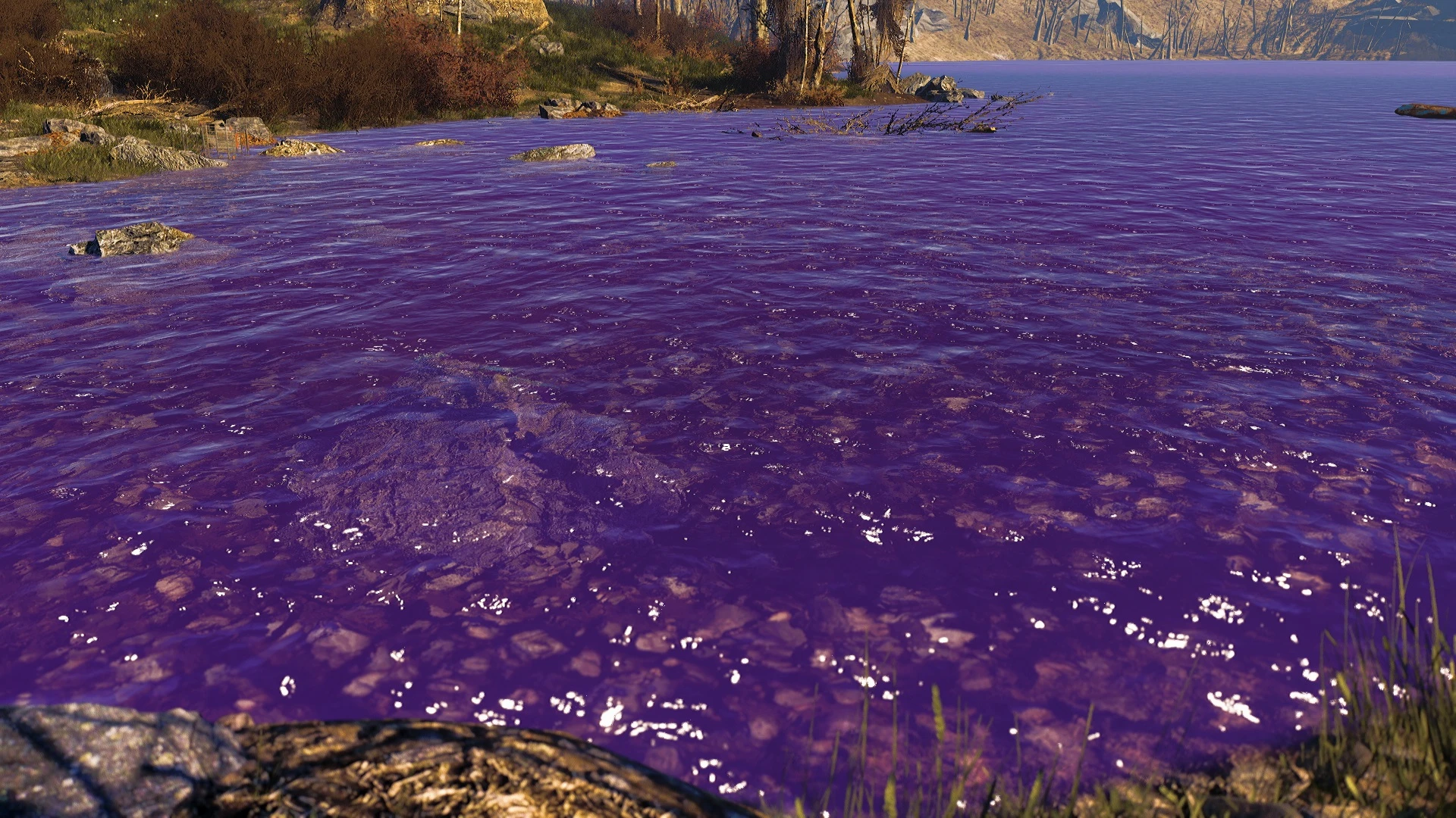 Фиолетовая вода почему. Фиолетовая вода. Гладь воды с фиолетовыми бликами. Фиолетовая вода в реке. Фиолетовая вода острова.