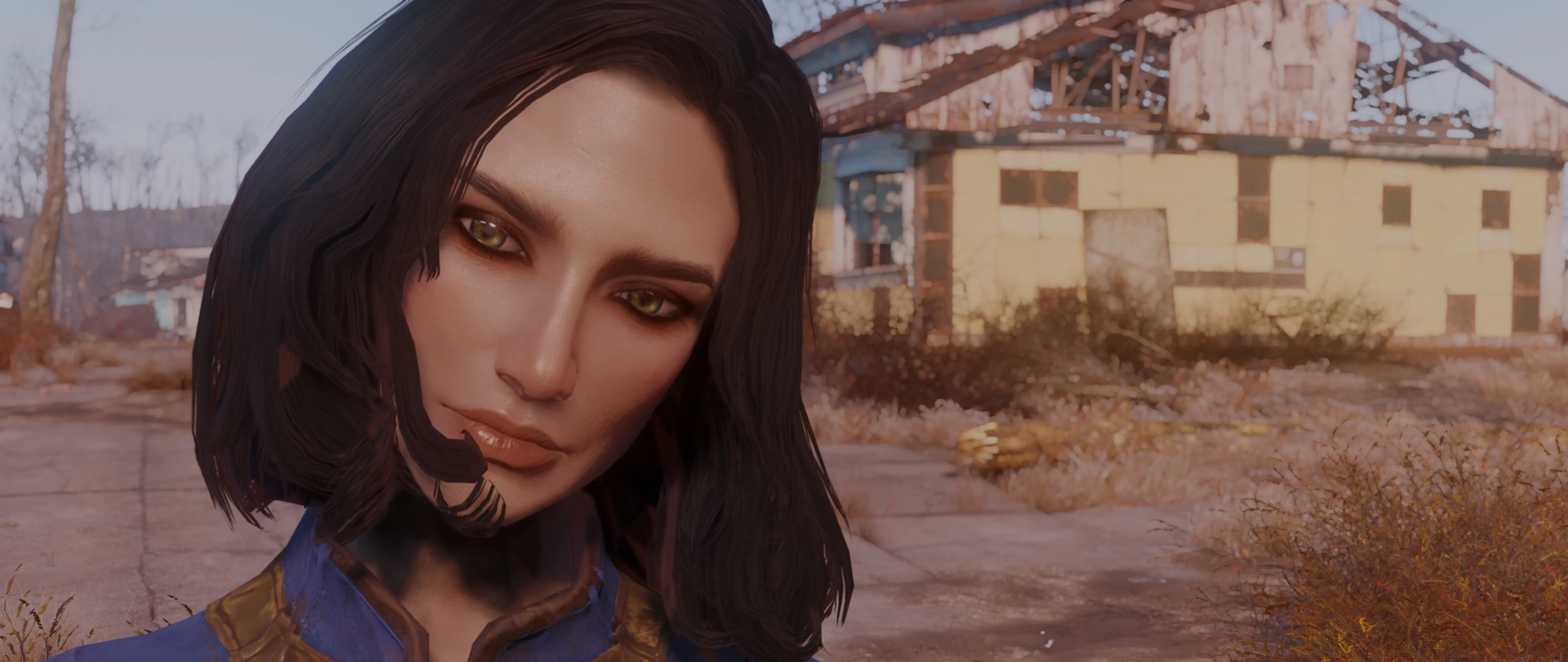 Fallout 4 пресет женского лица фото 48