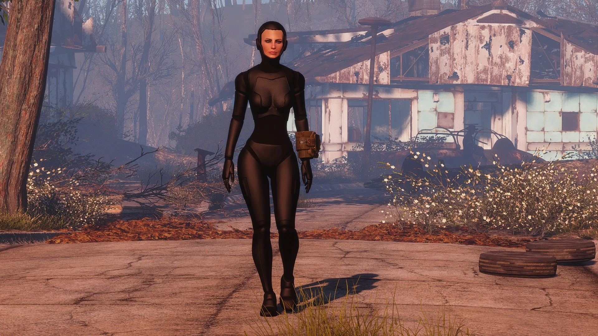 Fallout 4 видеть тело от первого лица фото 96