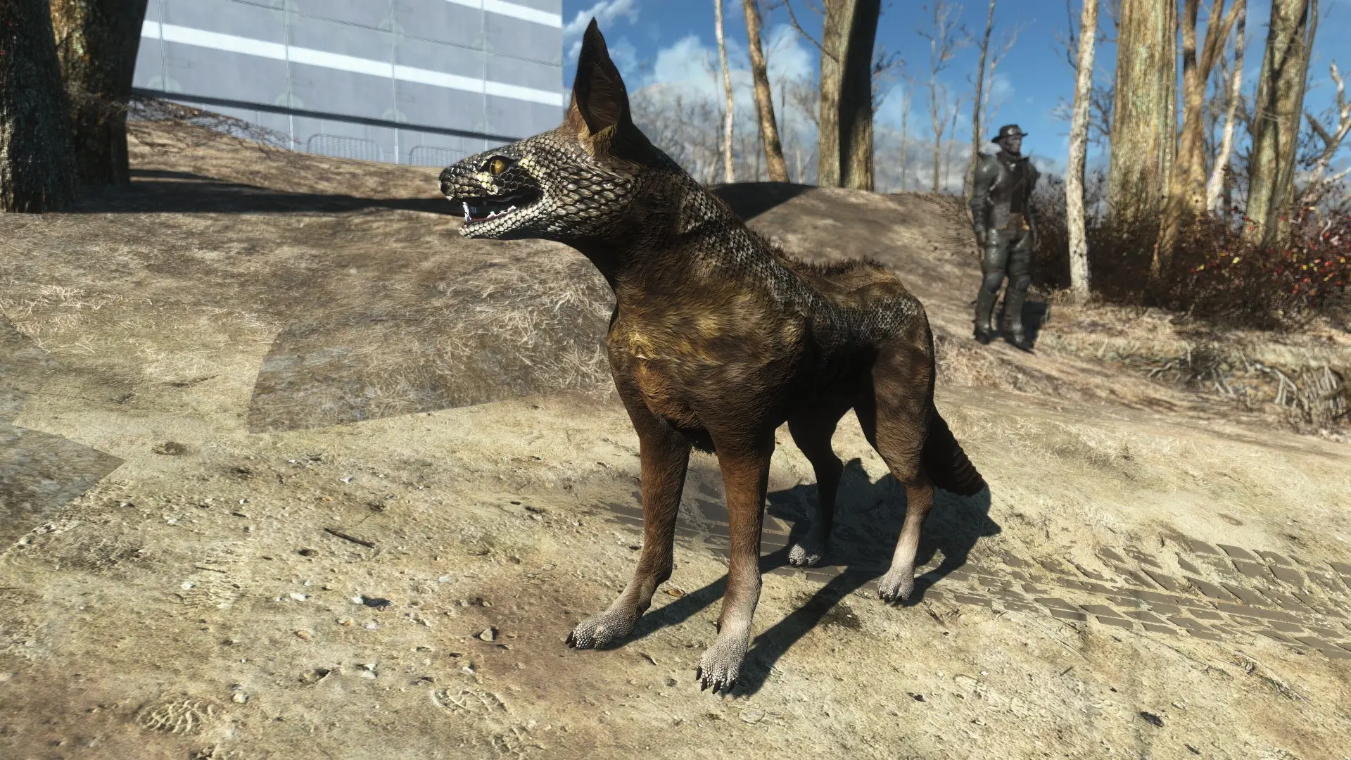 Fallout 4 unique npcs creatures and monsters of the commonwealth фото 21