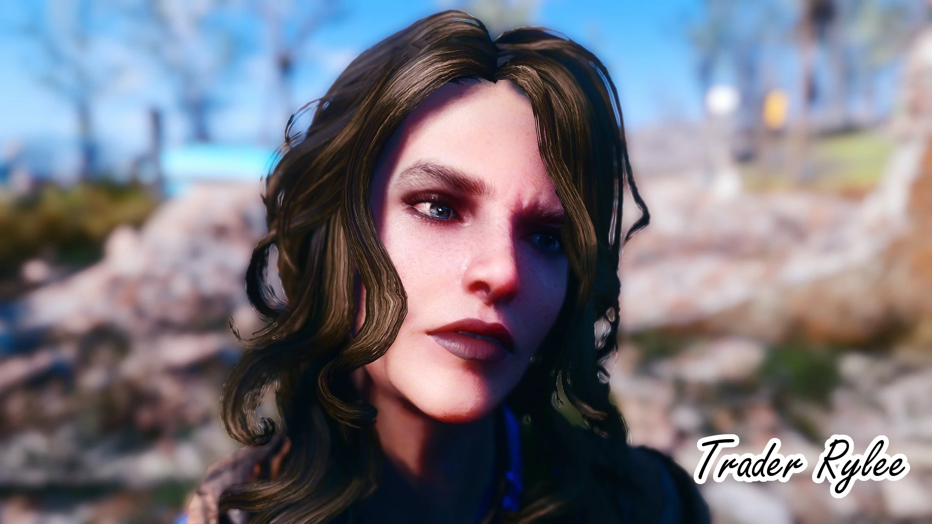 Wasteland heroines replacer fallout 4 фото 22