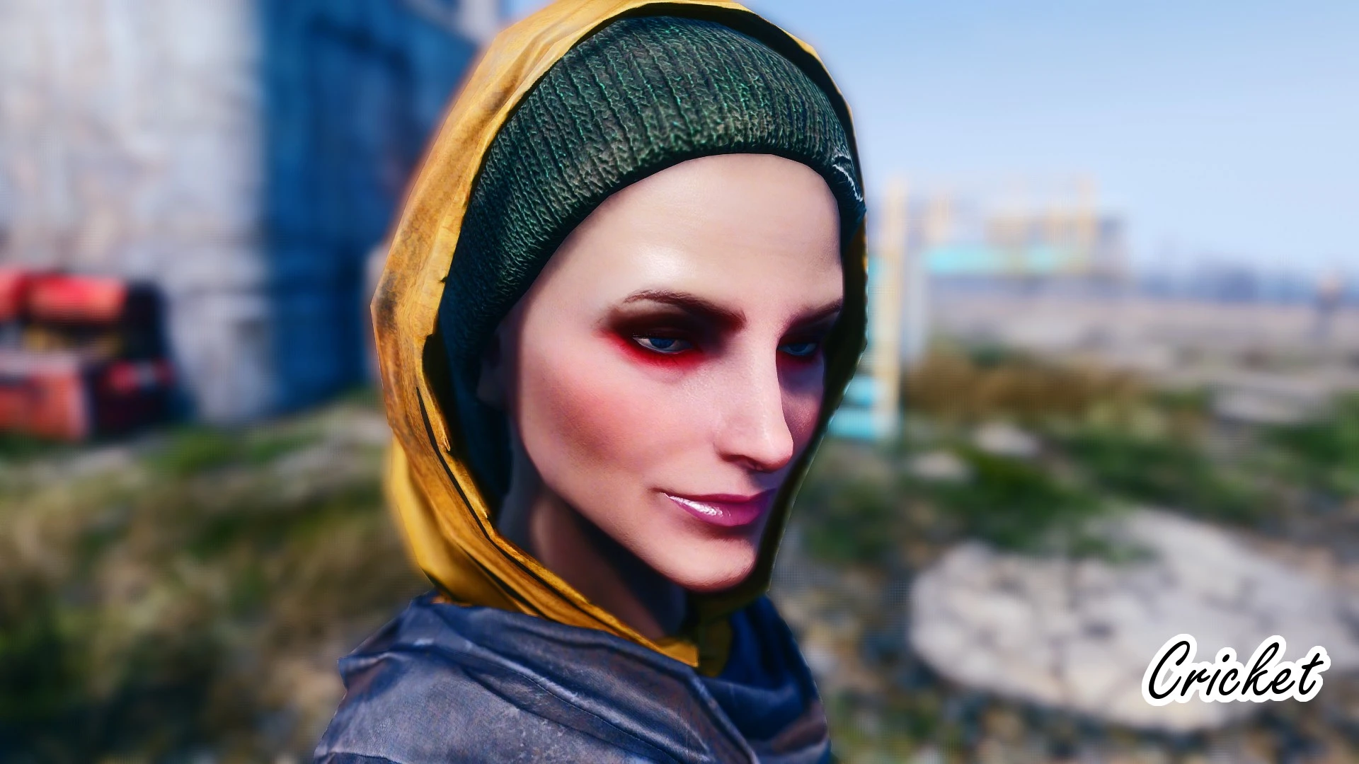 Wasteland heroines replacer all in one для fallout 4 фото 30