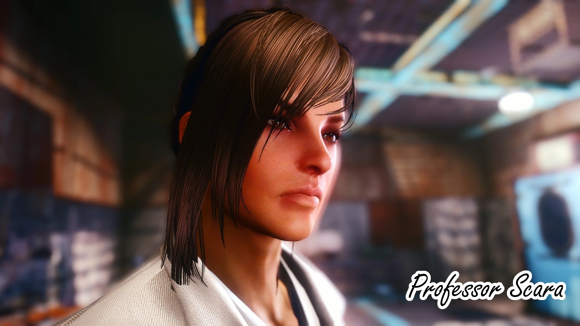 Wasteland heroines replacer fallout 4 фото 4