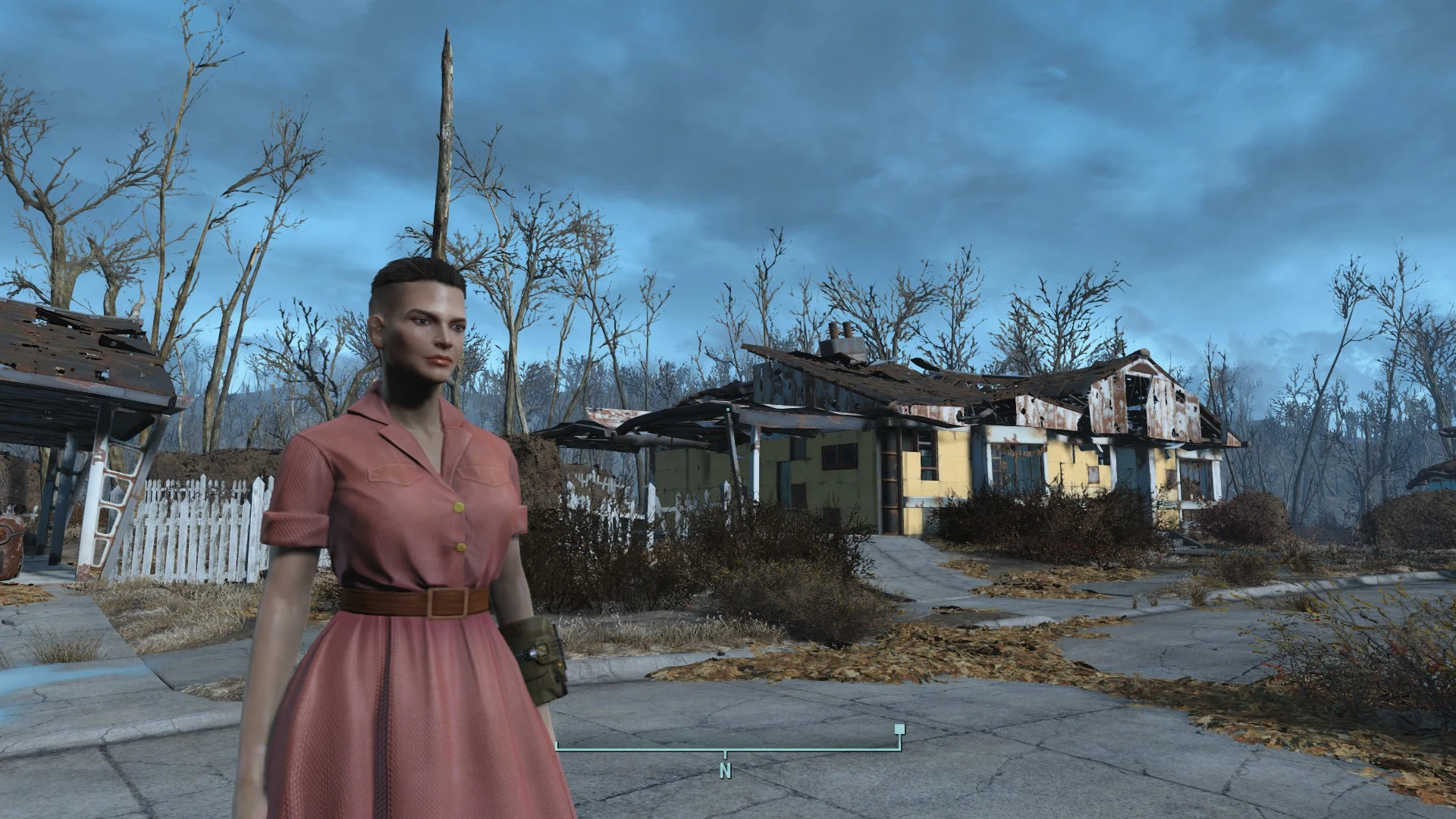 Fallout 4 pre war фото 18