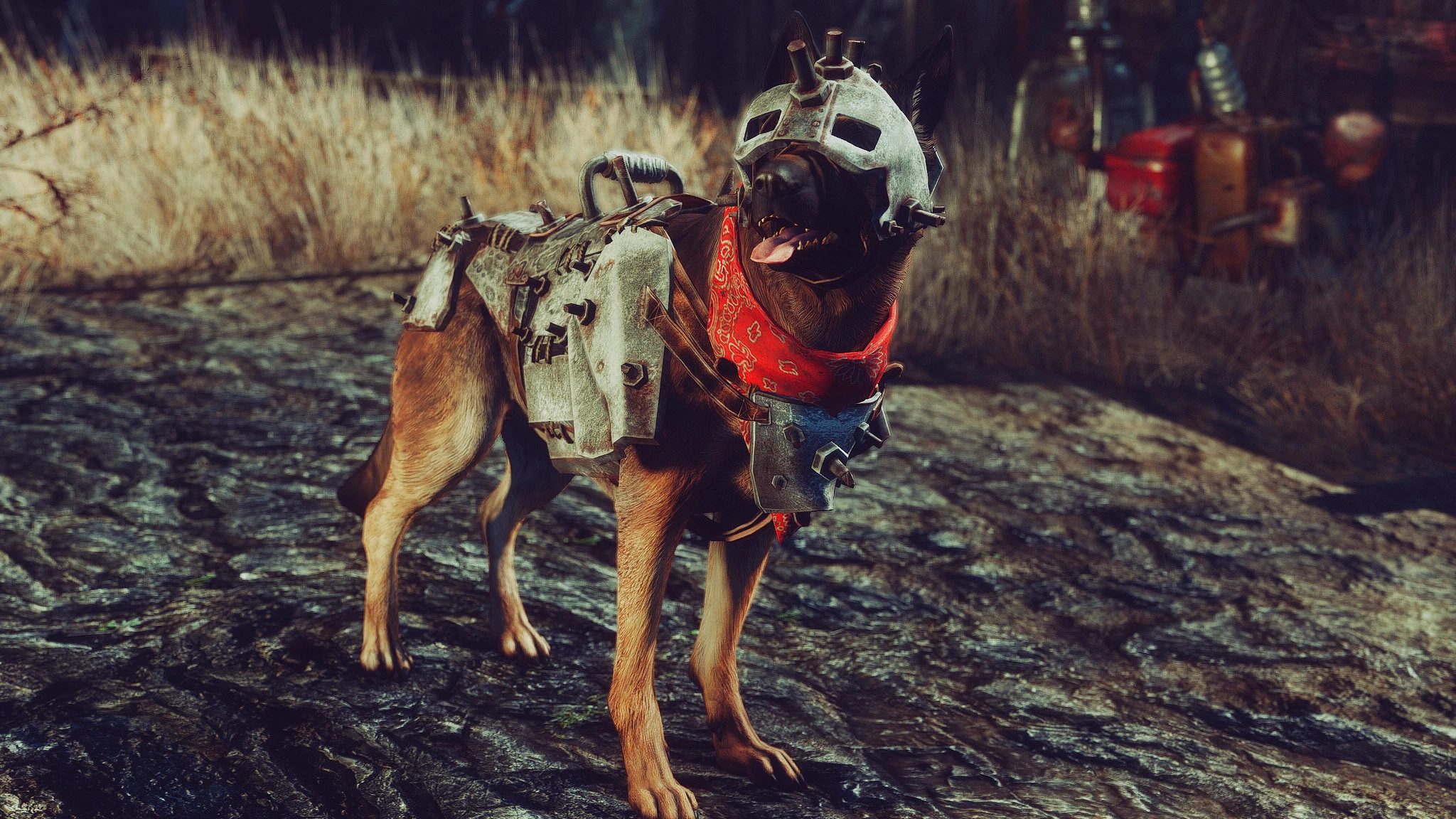 Private Dogmeat's Custom Armor at Fallout 4 Nexus - Mods and community