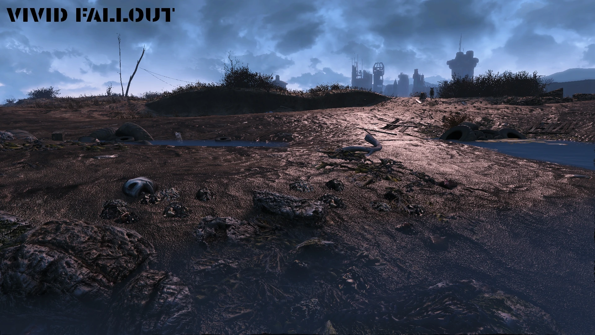 Fallout 4 vivid texture фото 8
