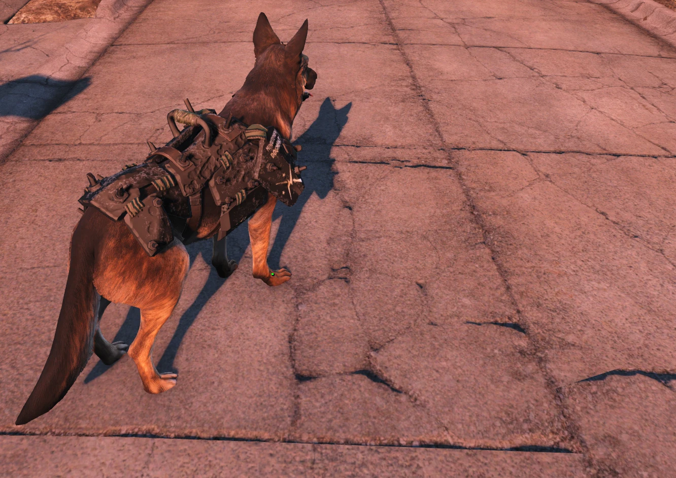 Fallout 4 надеть на собаку фото 70