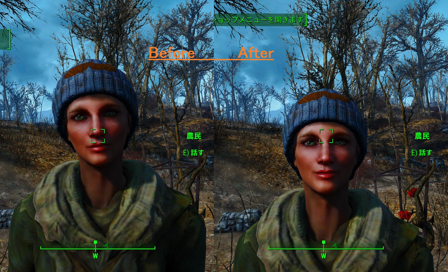 Fallout 4 fix лица фото 1