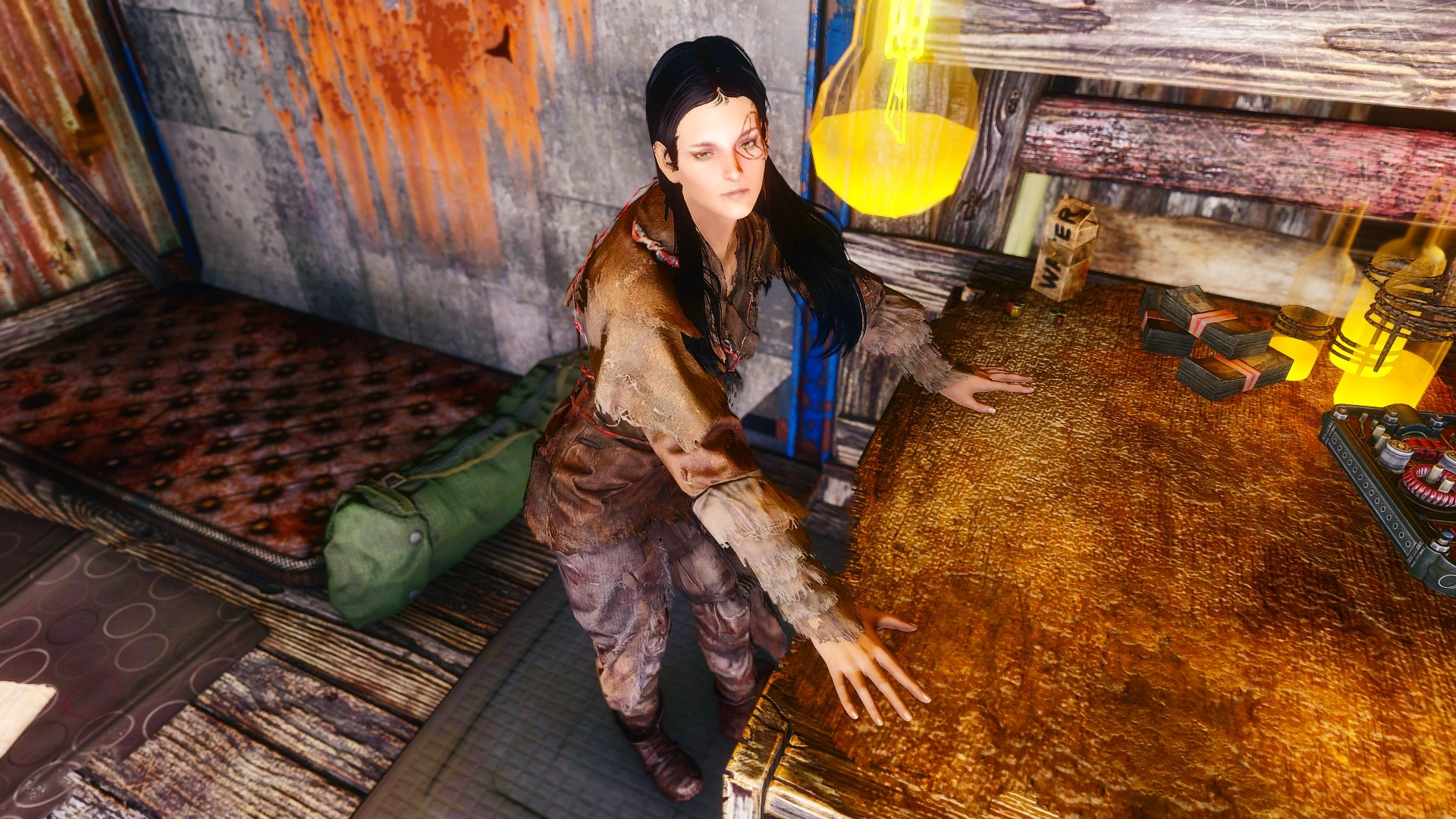 Wasteland heroines replacer fallout 4 фото 60