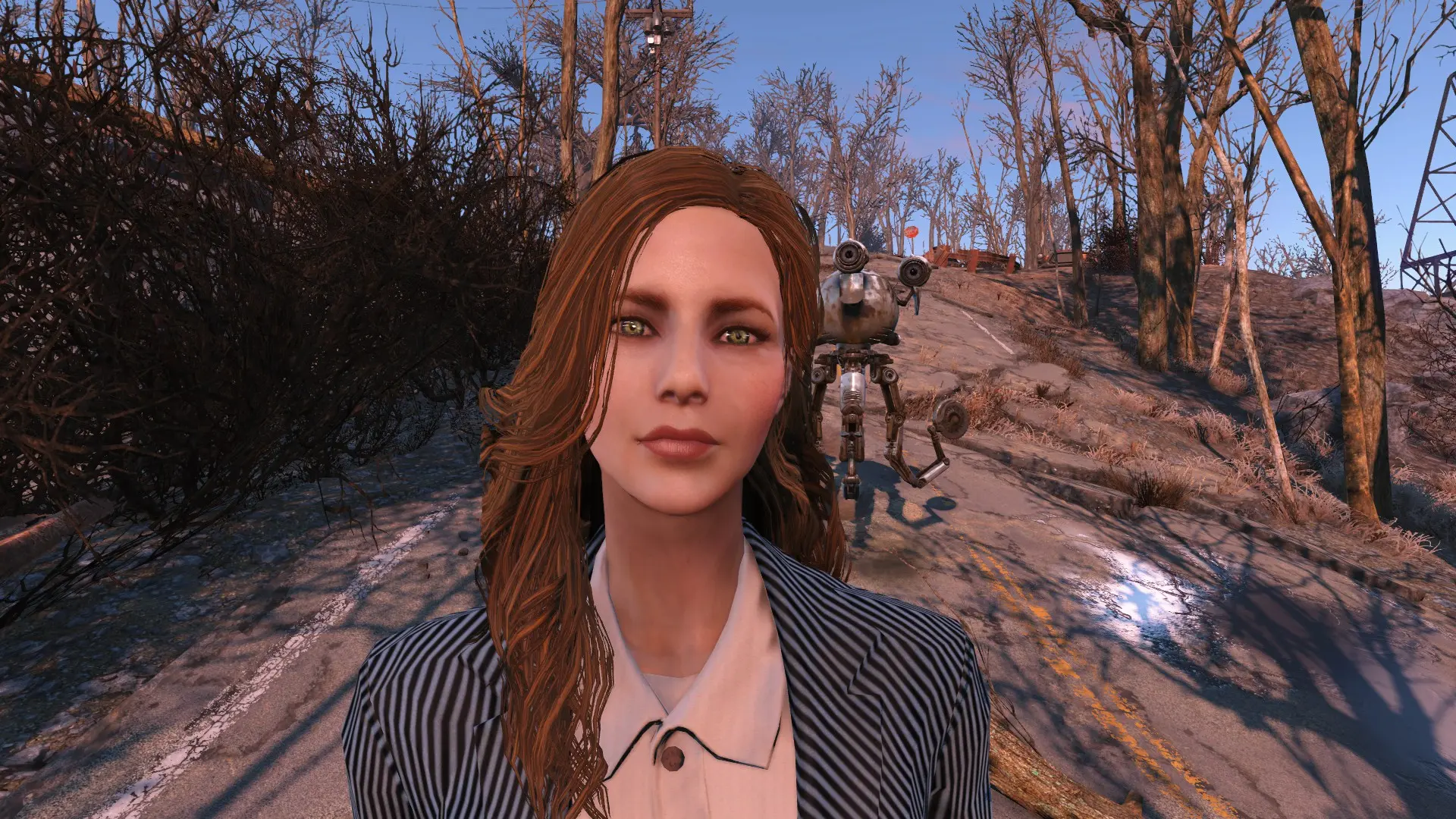 Fallout 4 nexus presets фото 80