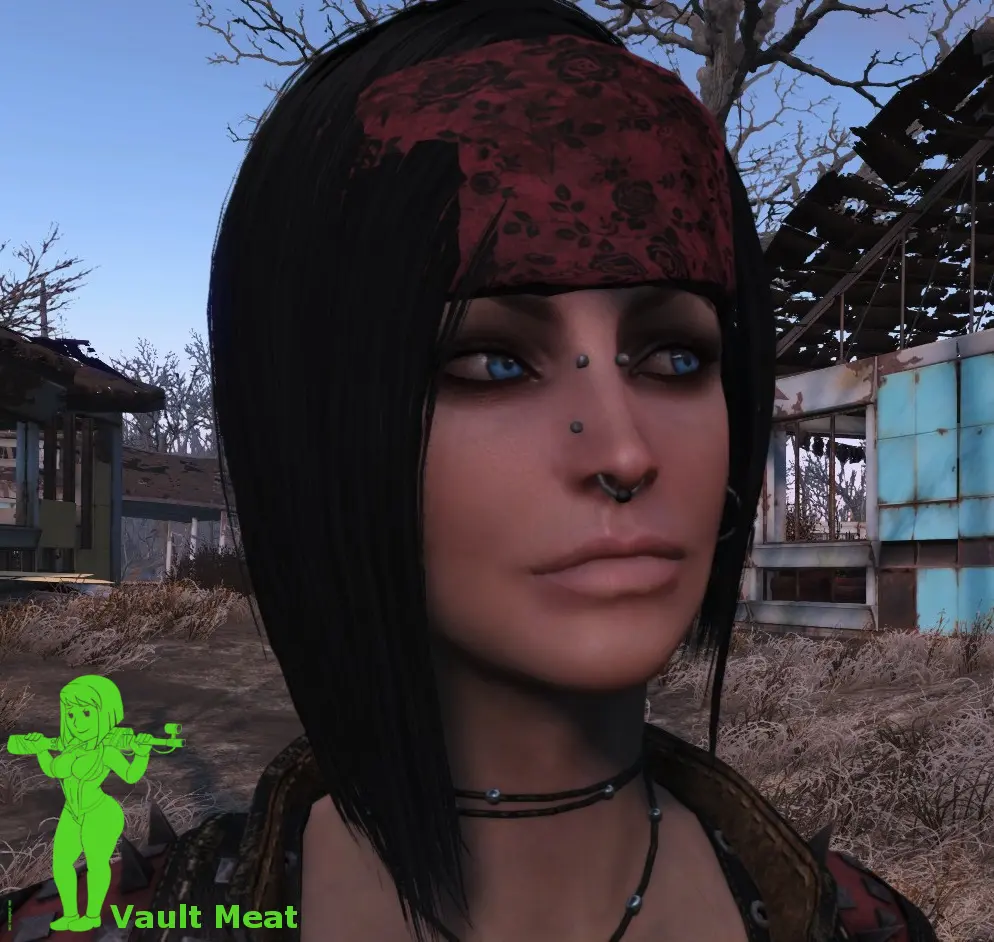 Fallout 4 Sex In The Vault Mod Telegraph 