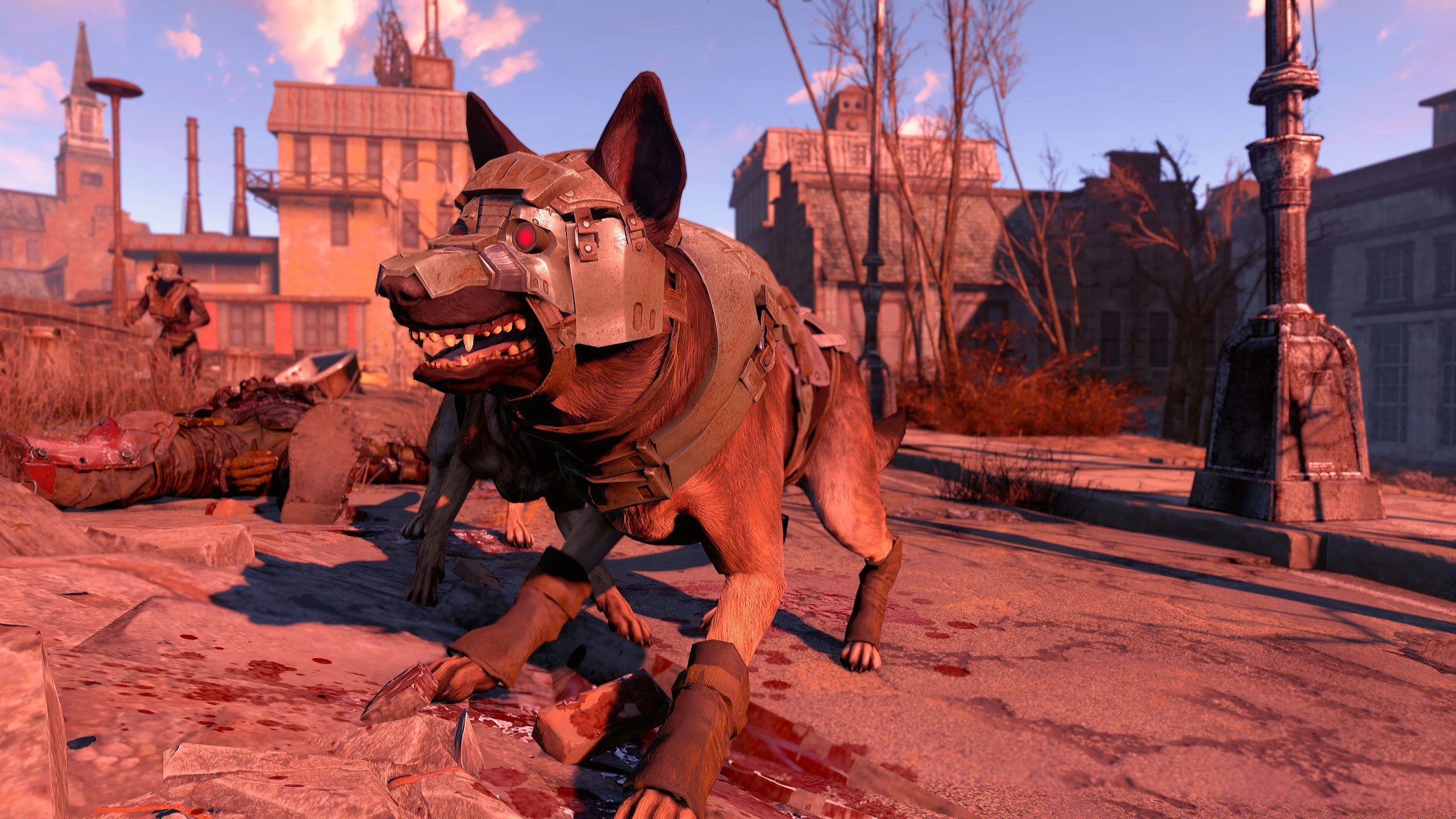Fallout 4 волк компаньон фото 79