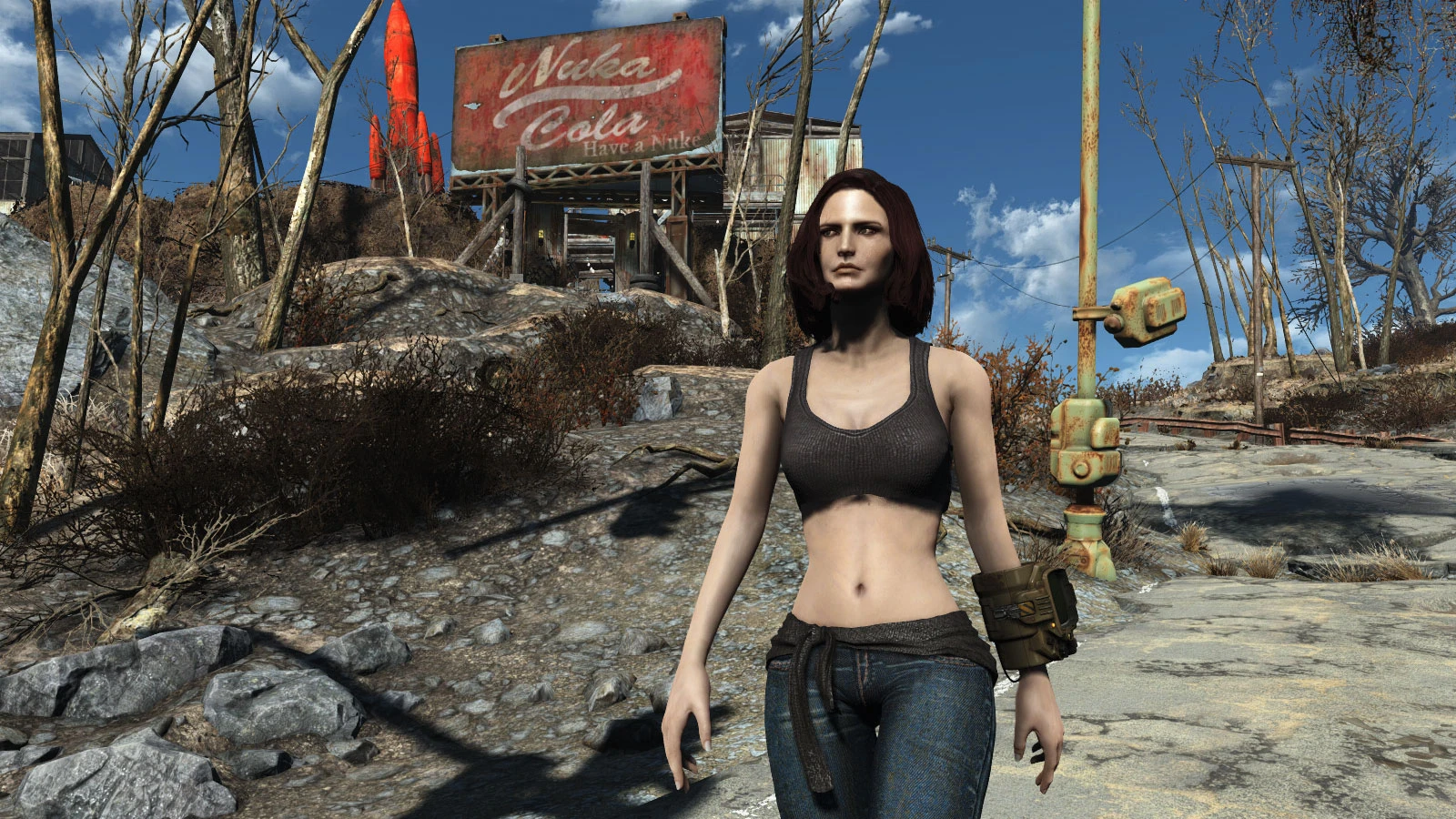 Fallout 4 wasteland workshop что это фото 53