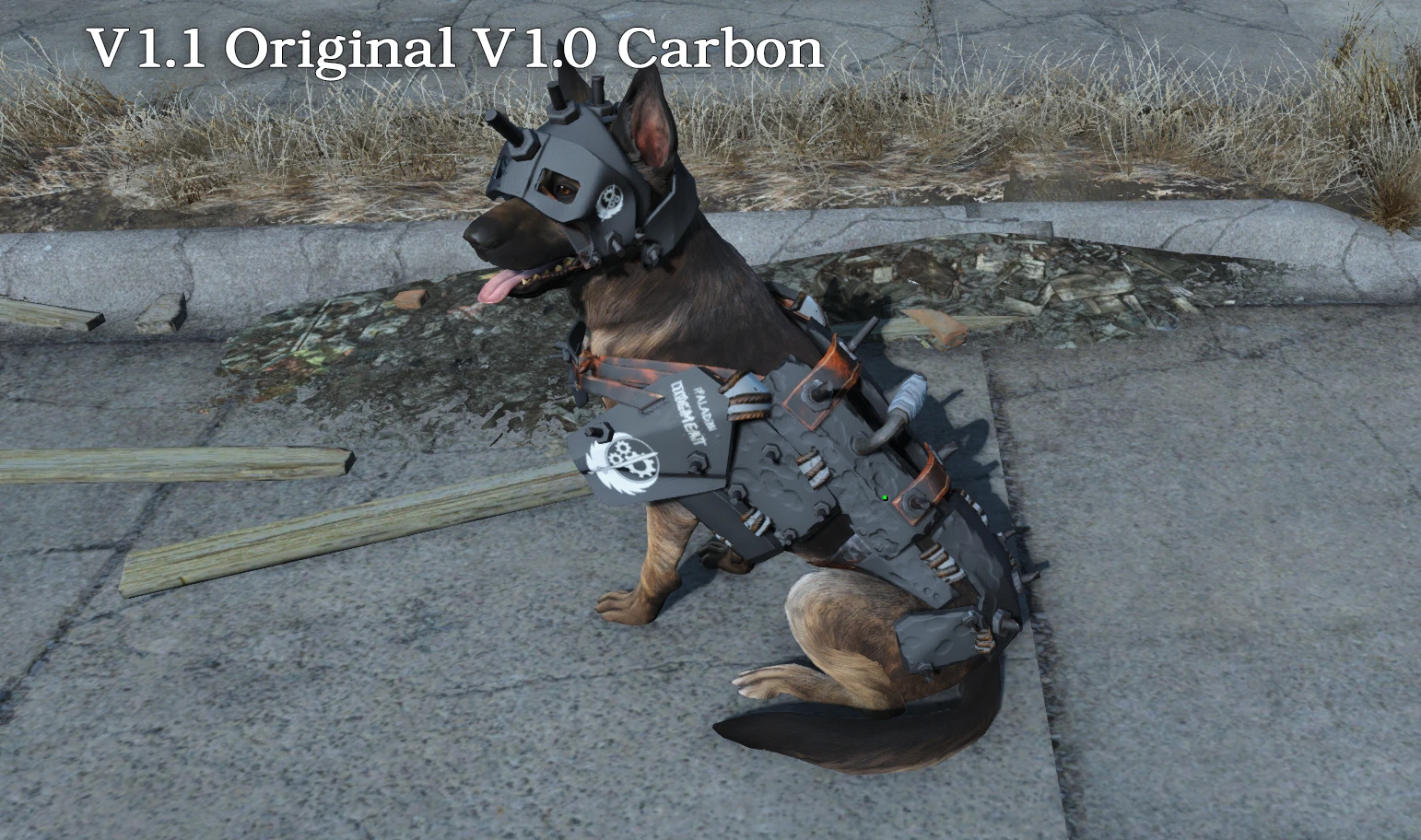 fallout 4 can dogmeat wear armor
