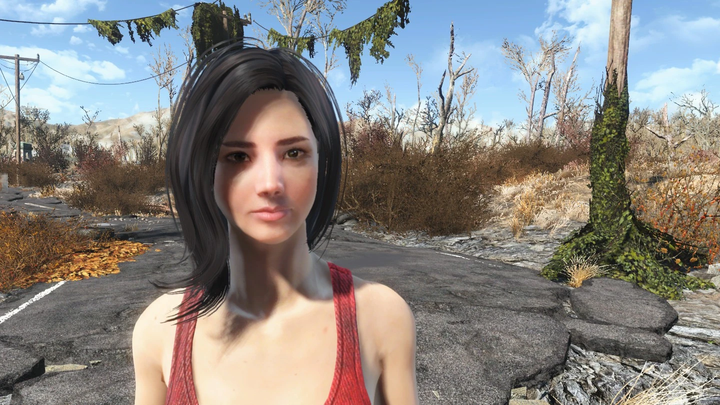 Install nmm fallout 4 фото 104