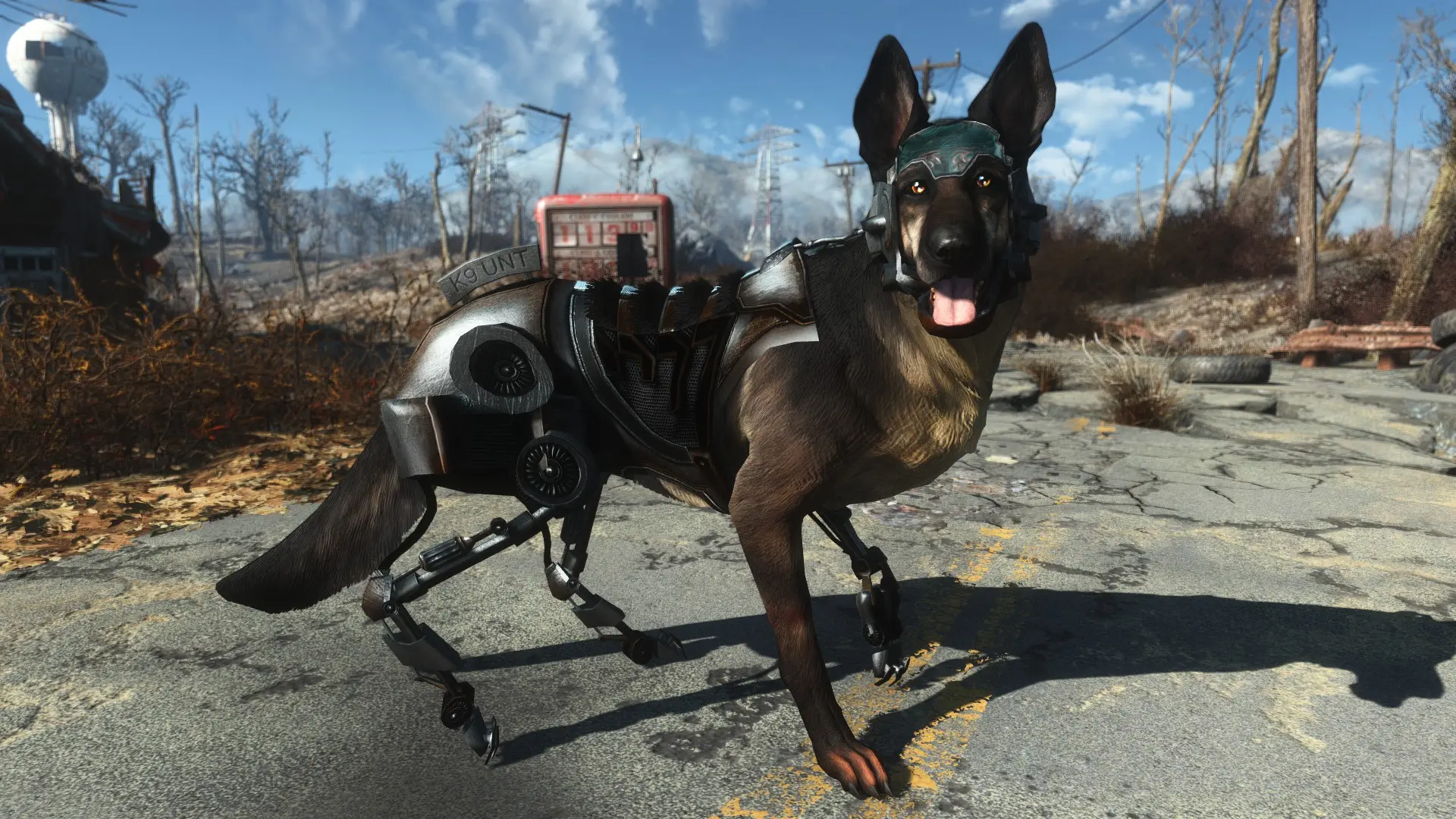 Dogmeat