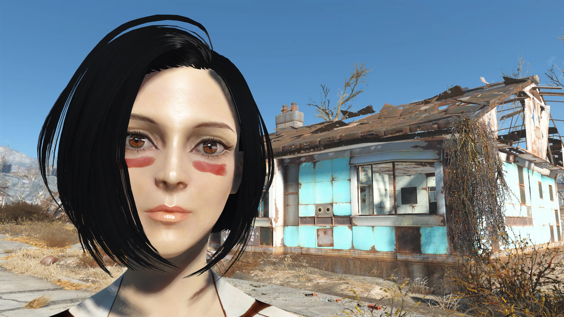 Fallout 4 face and body textures фото 87