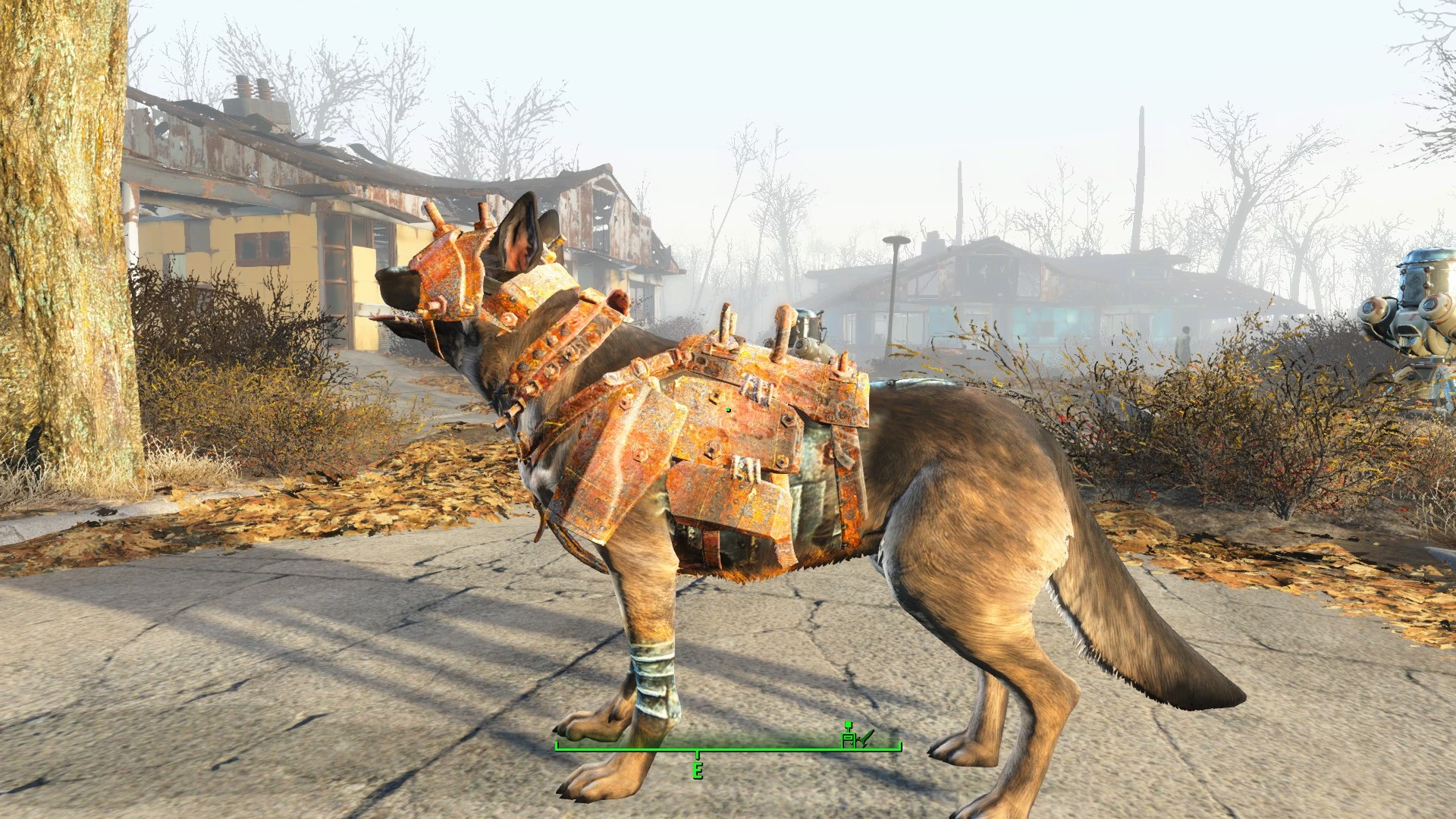 Fallout 4 как одеть собаку фото 72