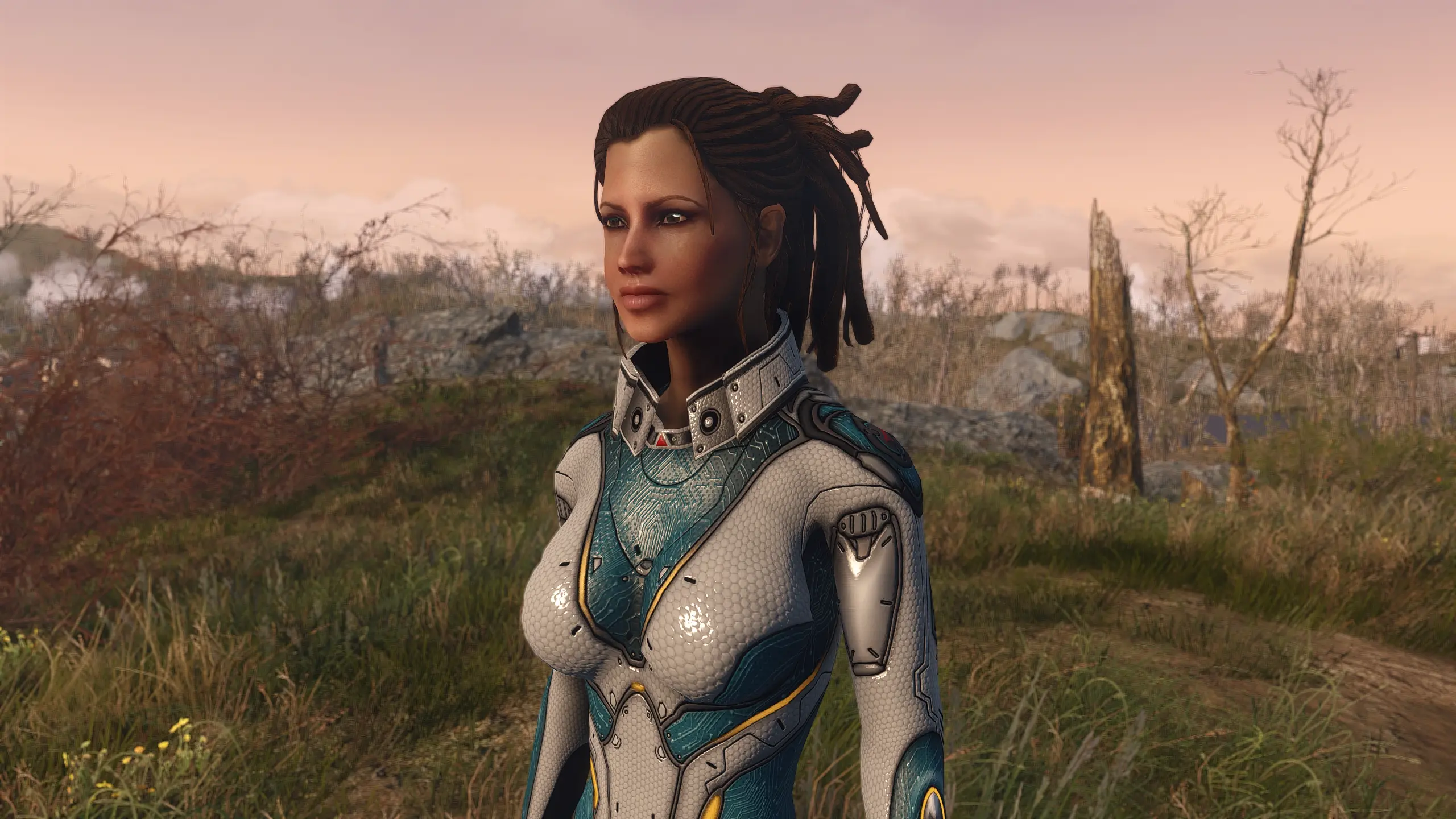 Fallout 4 sarah preset фото 2