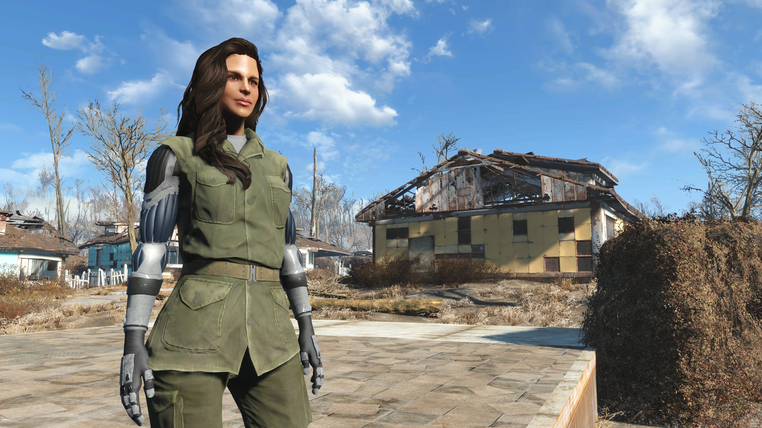 Wasteland heroines replacer all in one для fallout 4 фото 93