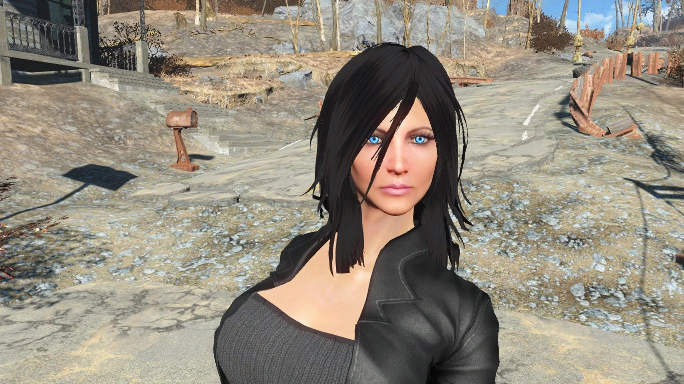 fallout 4 best adult mods