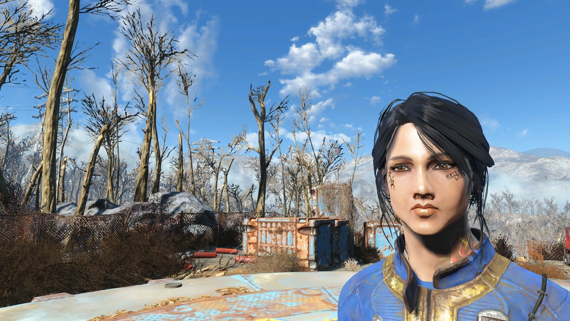 Fallout 4 preset menu фото 73
