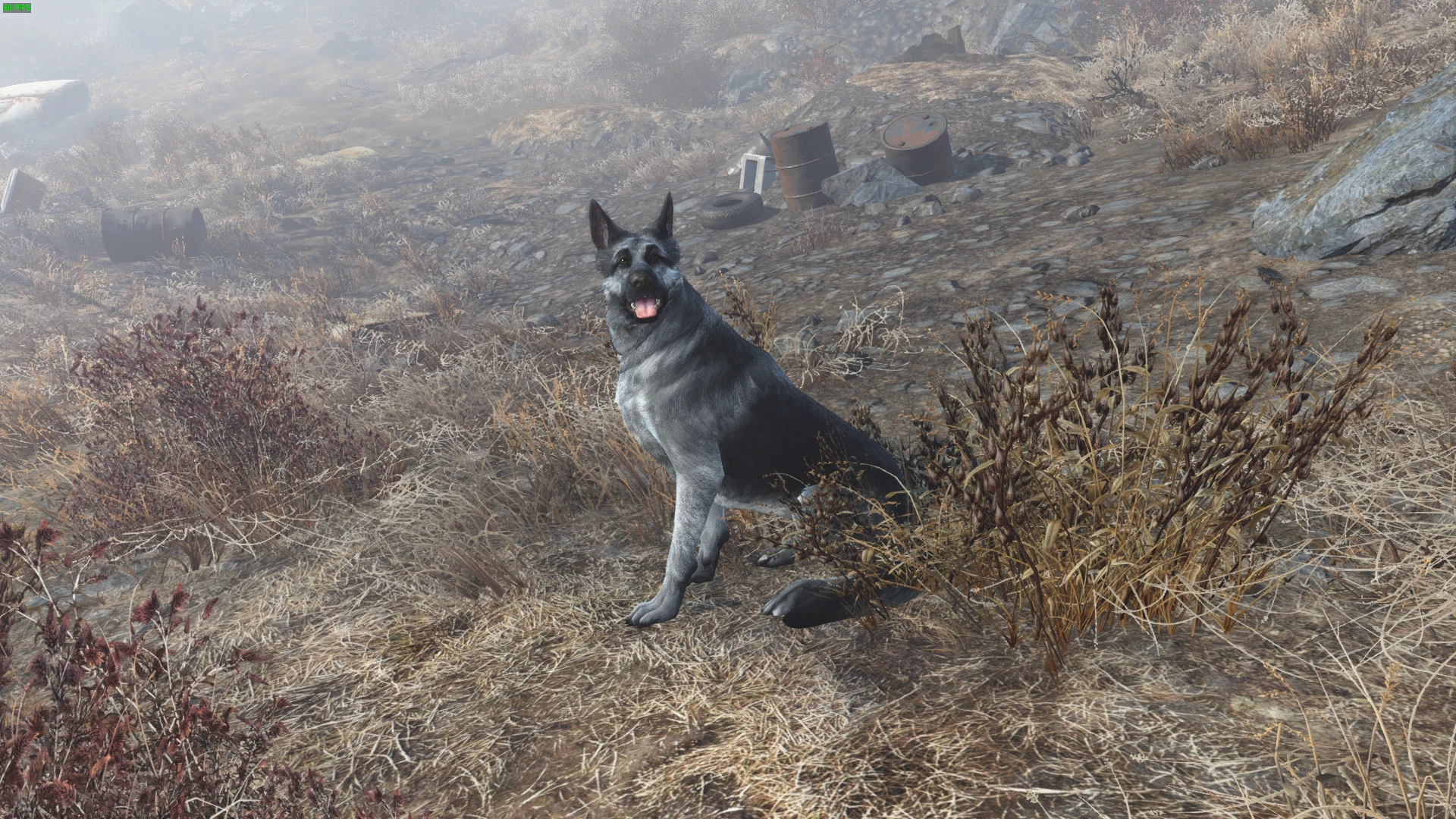 fallout 4 dogmeat retexture fallout 4 dogmeat retexture