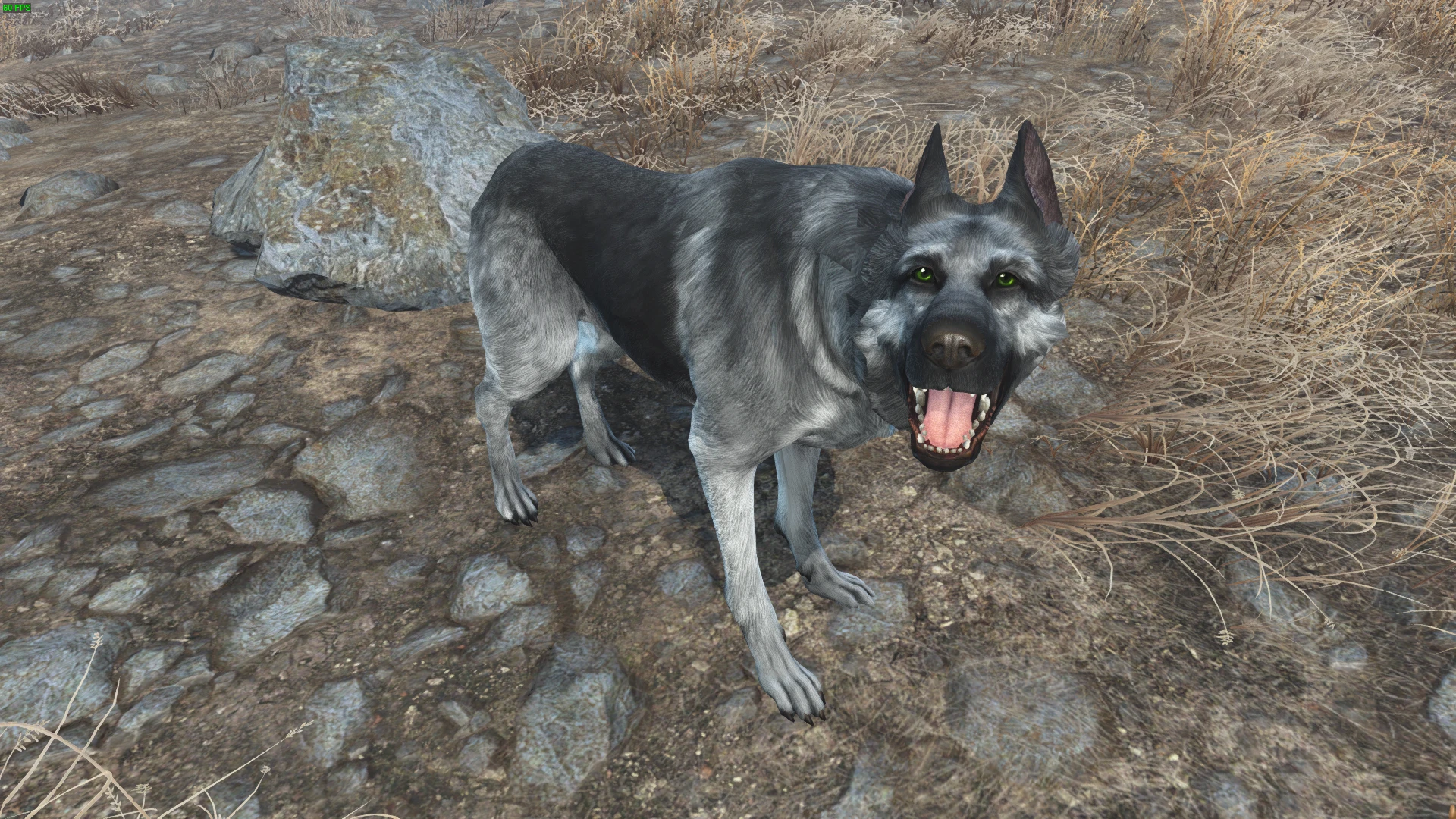 fallout 4 dogmeat retexture