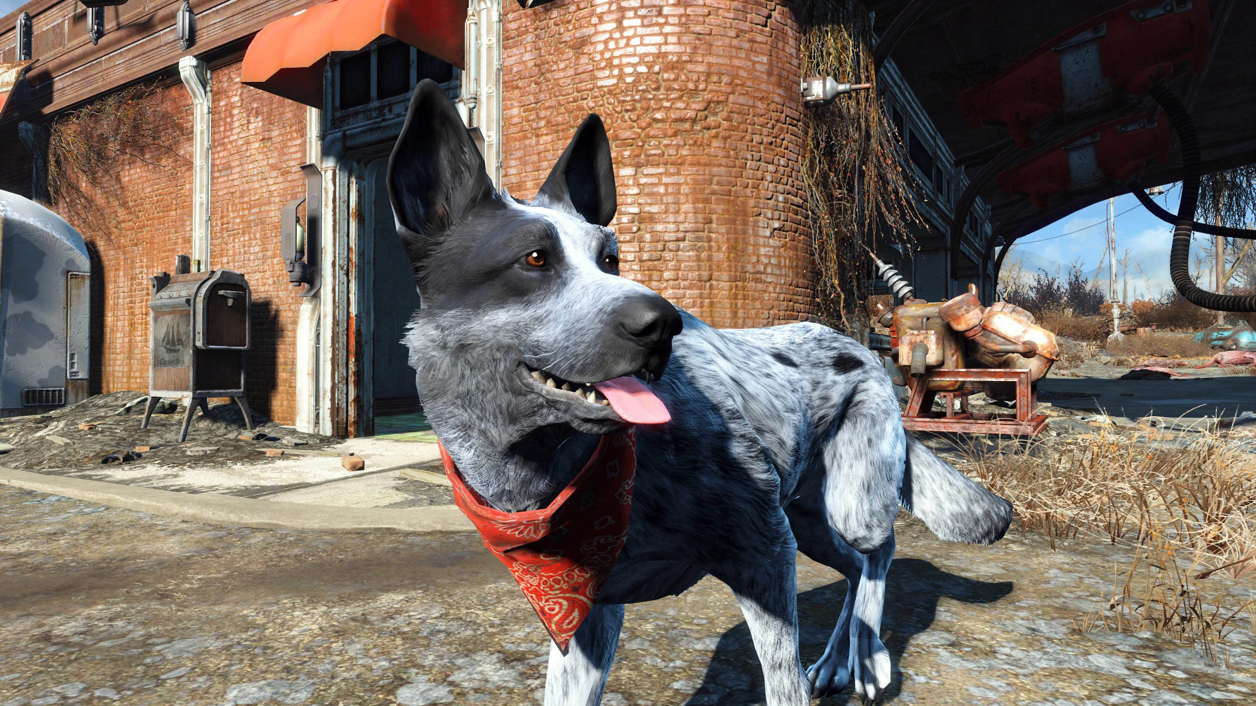 Classic Dogmeat a.k.a. Pirate at Fallout 4 Nexus - Mods and community