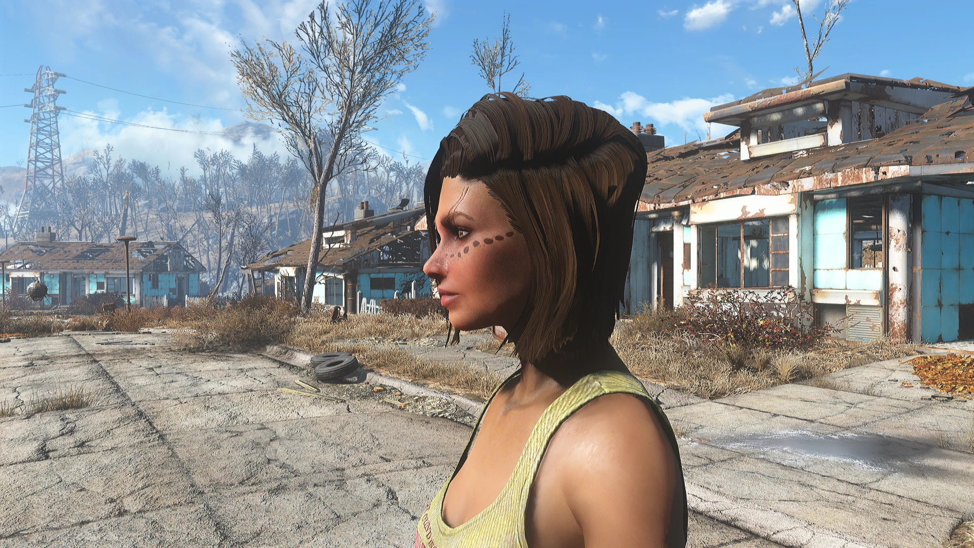 Fallout 4 looks menu шаблоны фото 22