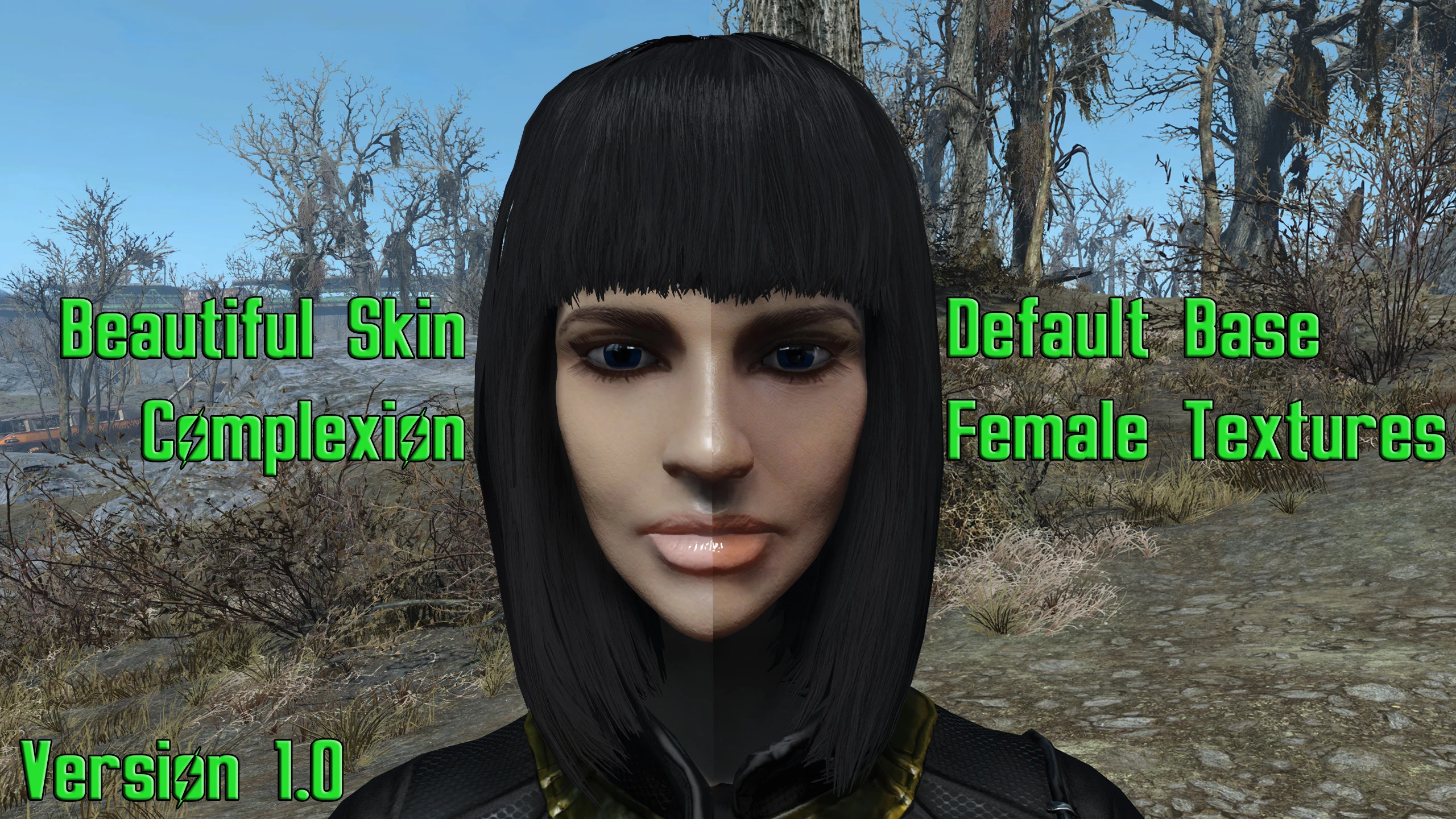 fallout 4 skin texture mod