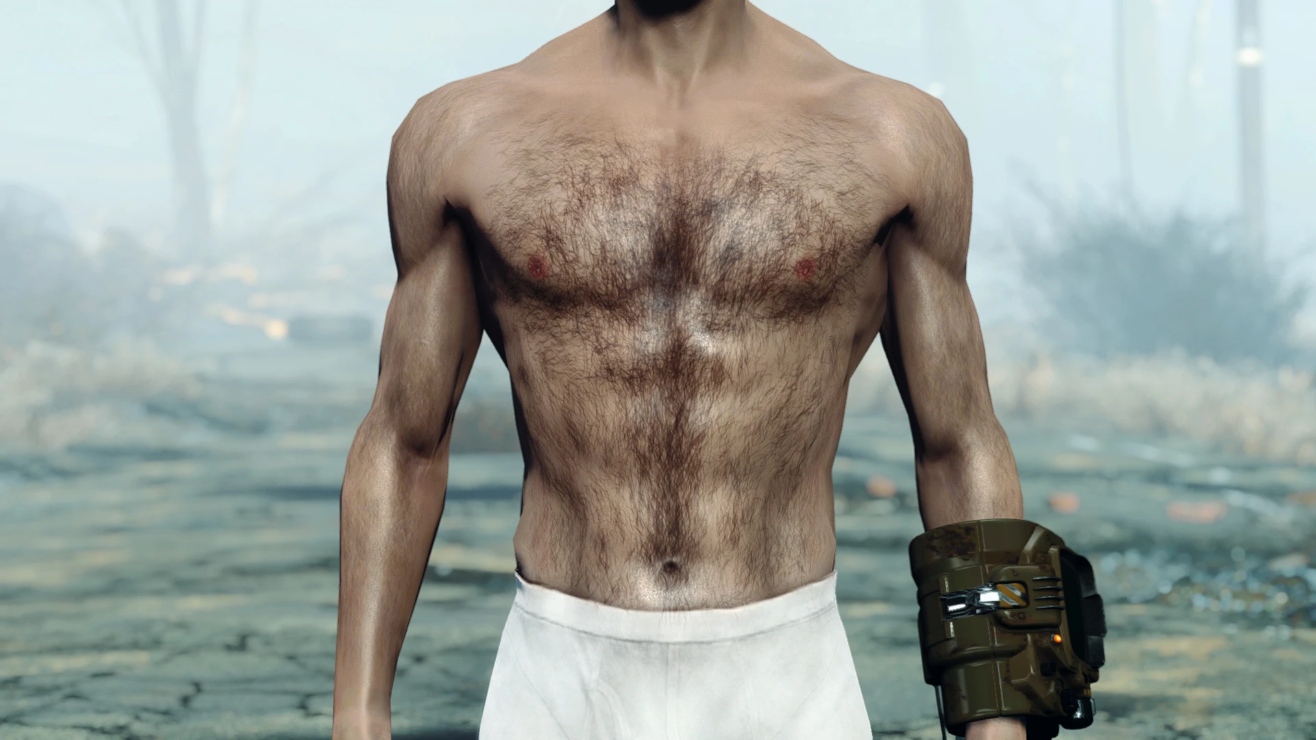 Fallout 4 мужские тела фото 68