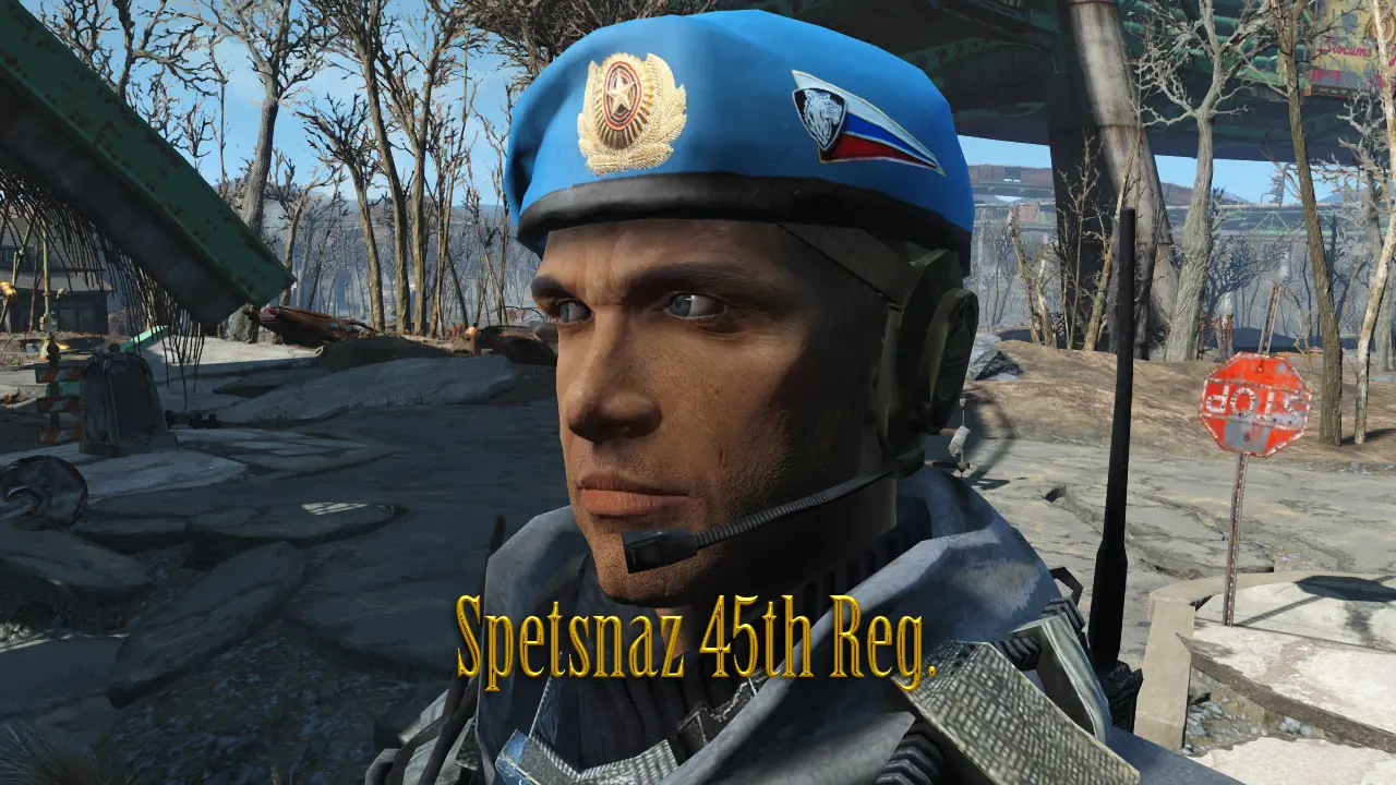 Big E's Military Beret Retexture Replacers At Fallout 4 Nexus - Mods ...